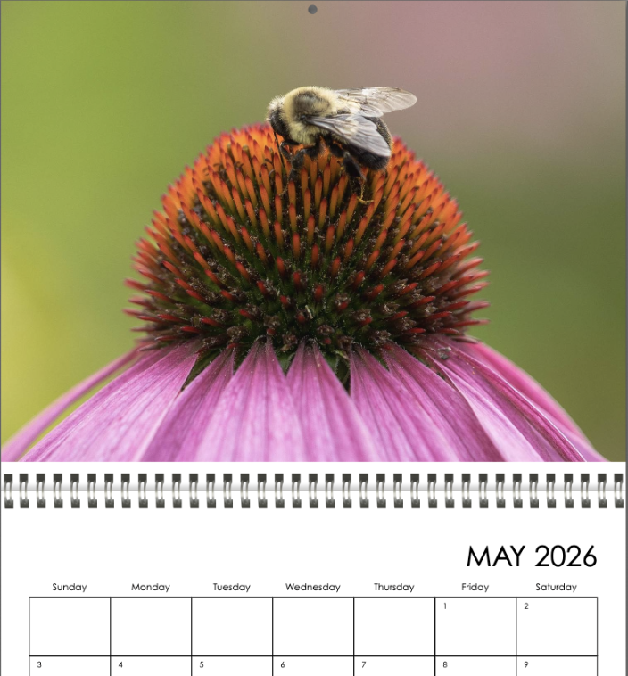 Screenshot 2025-11-15 at 10.21.49 AM.png