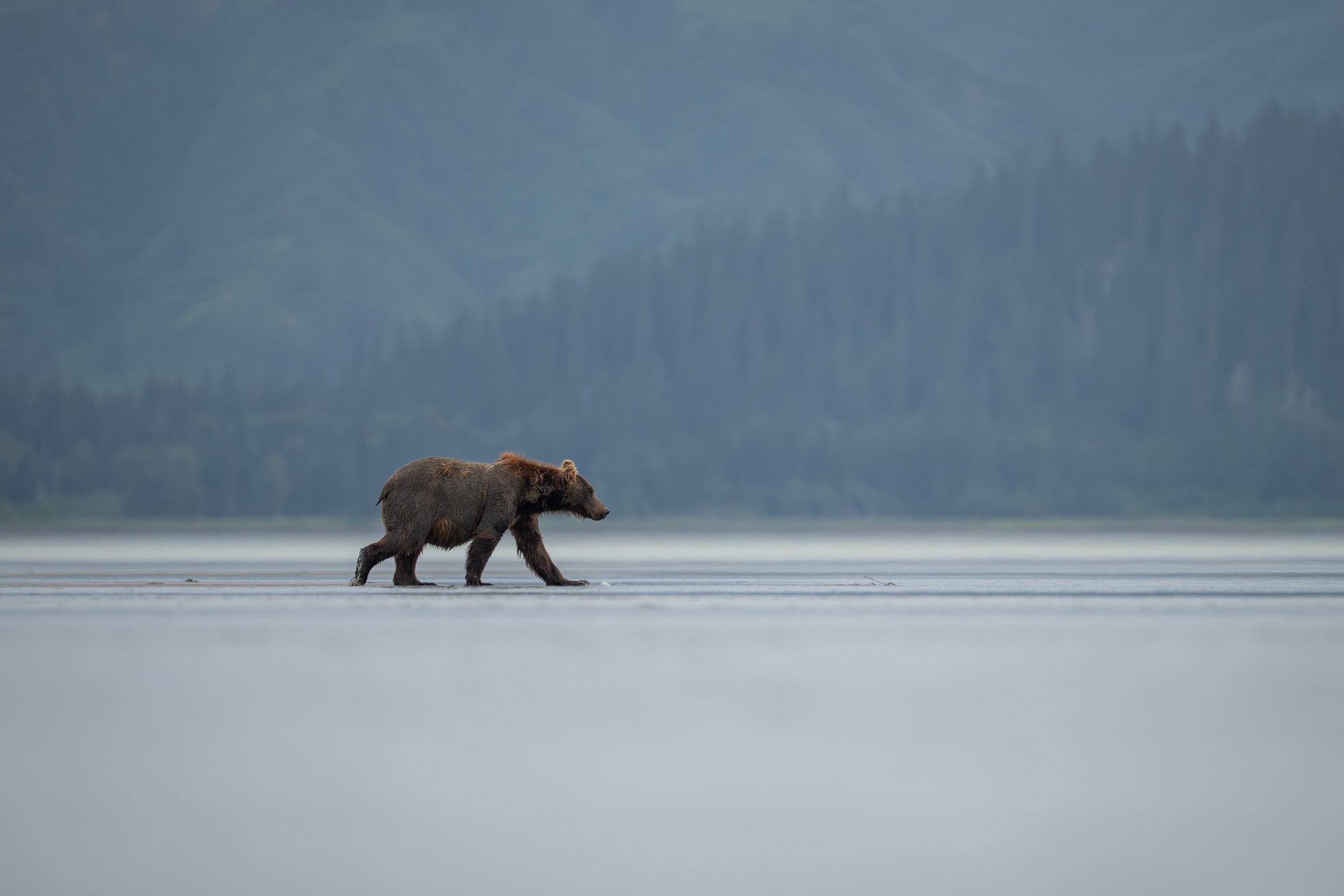 _DSC5868.jpg