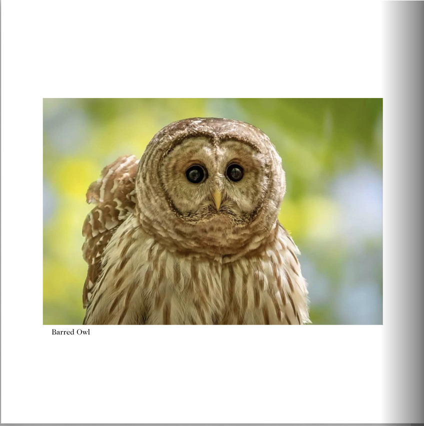 Screenshot 2026-03-01 at 3.03.28 PM.png