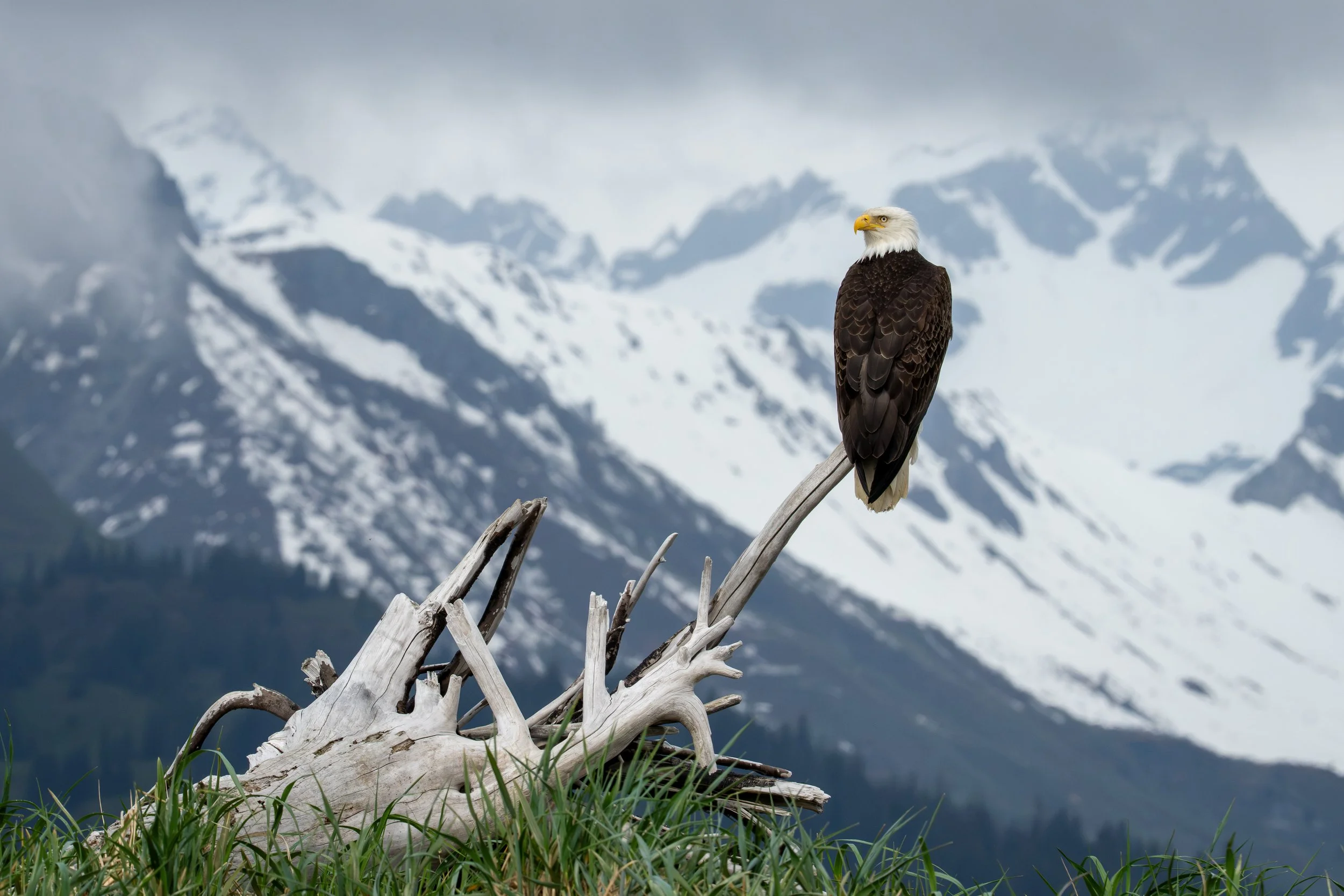 _DSC5895.jpg