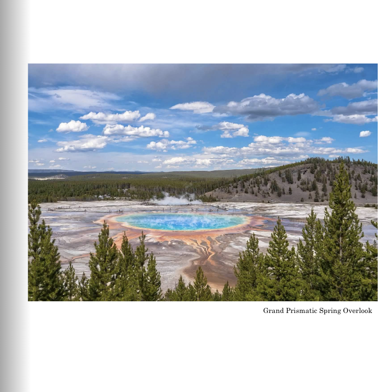 Screenshot 2026-03-01 at 12.53.08 PM.png