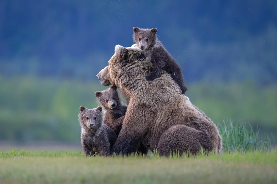 The Future of Alaska