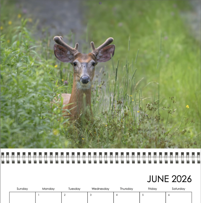 Screenshot 2025-11-15 at 10.21.57 AM.png