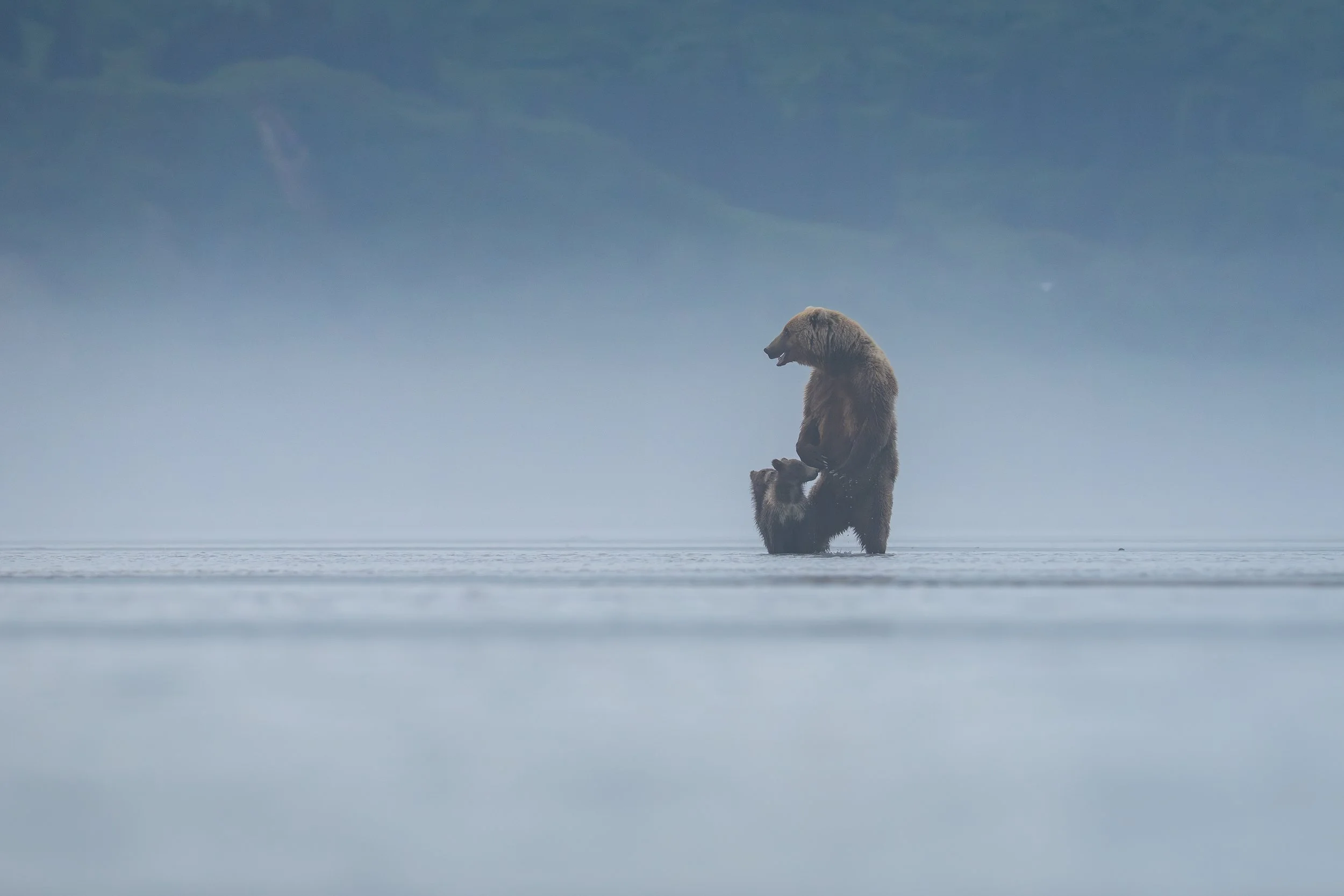 D608C05E-231E-4853-A856-884C7D646D6C.jpeg