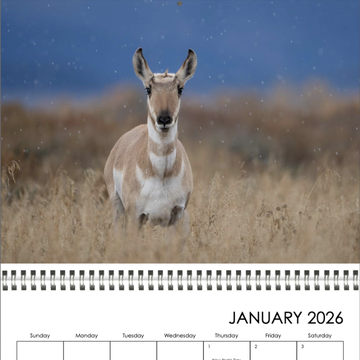 Screenshot 2025-11-15 at 10.20.29 AM.png