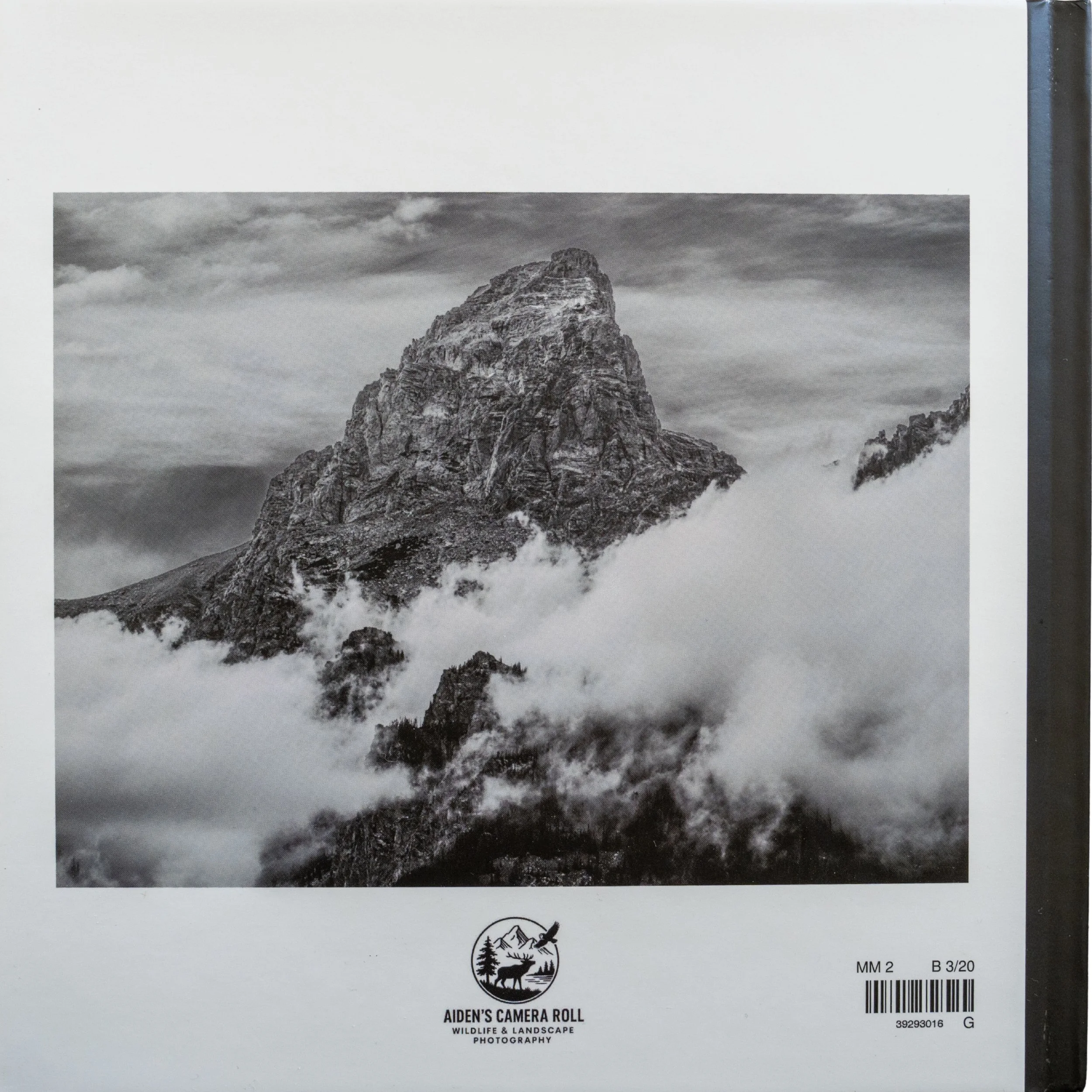 Untitled design (2).jpg