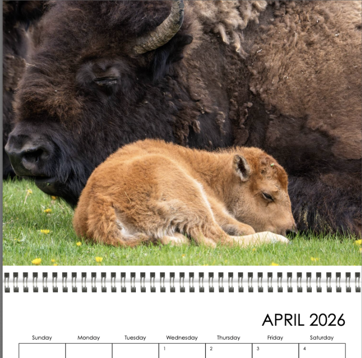 Screenshot 2025-11-15 at 10.21.35 AM.png