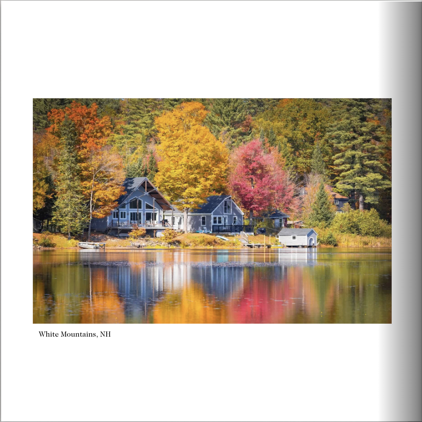 Screenshot 2026-03-01 at 3.03.55 PM.png