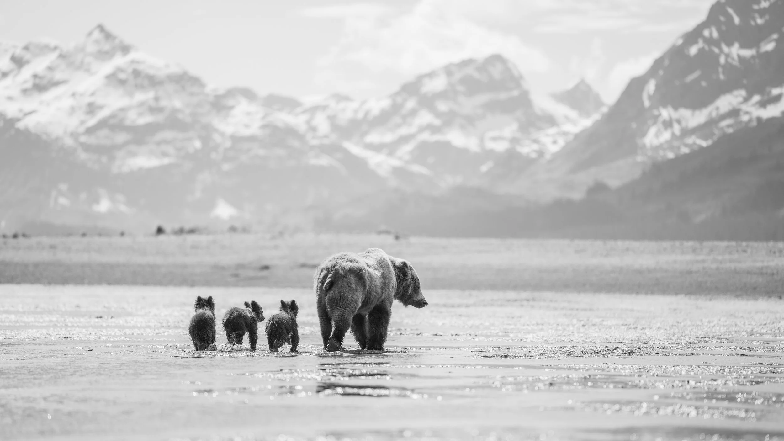 _DSC5105.jpg