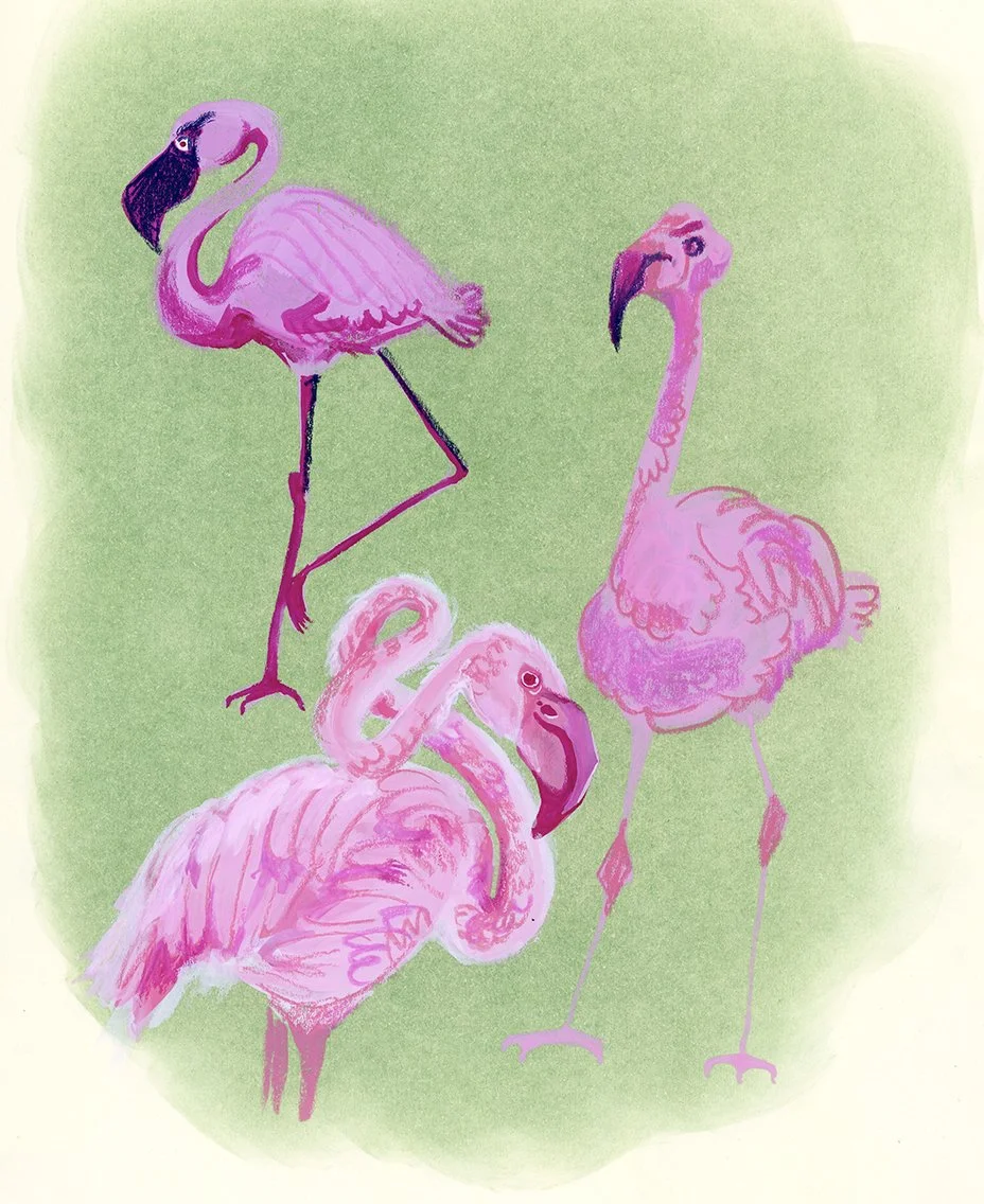 Gouache Flamingos