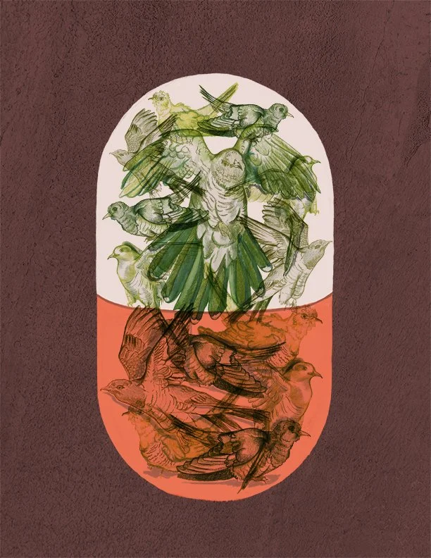 Cuckoo'sNest_Cover_notype_web.jpg
