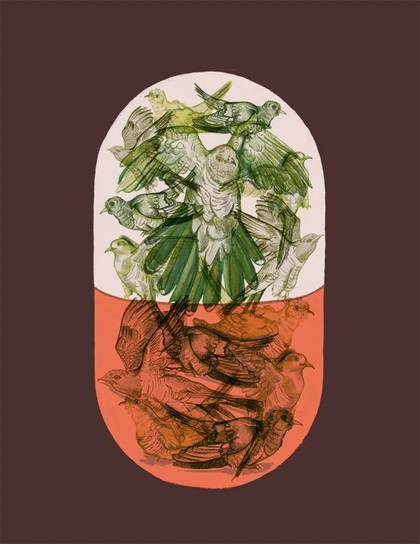 One Flew Over the Cuckoo's Nest