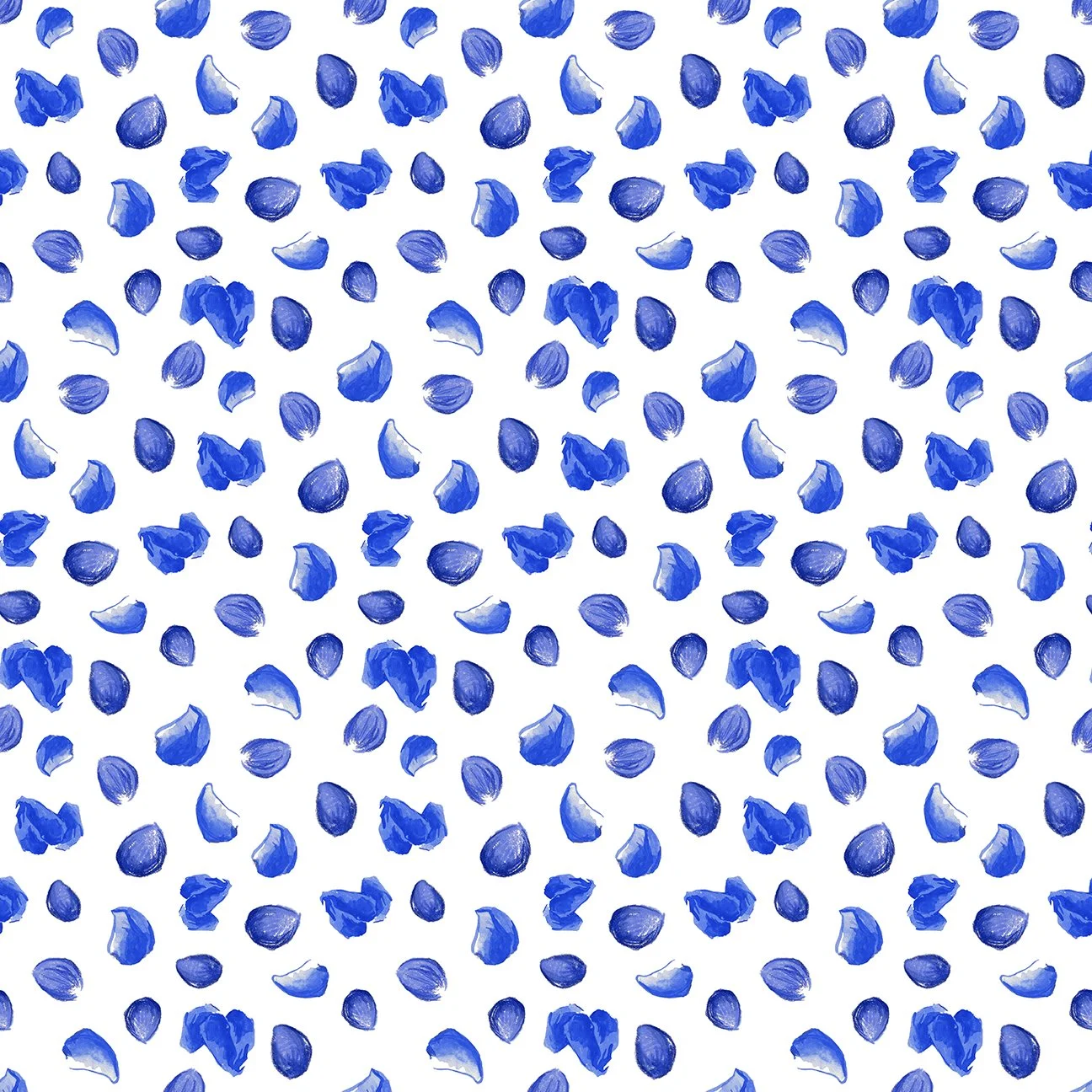 Texas Flowers_Blender 3 _web.jpg