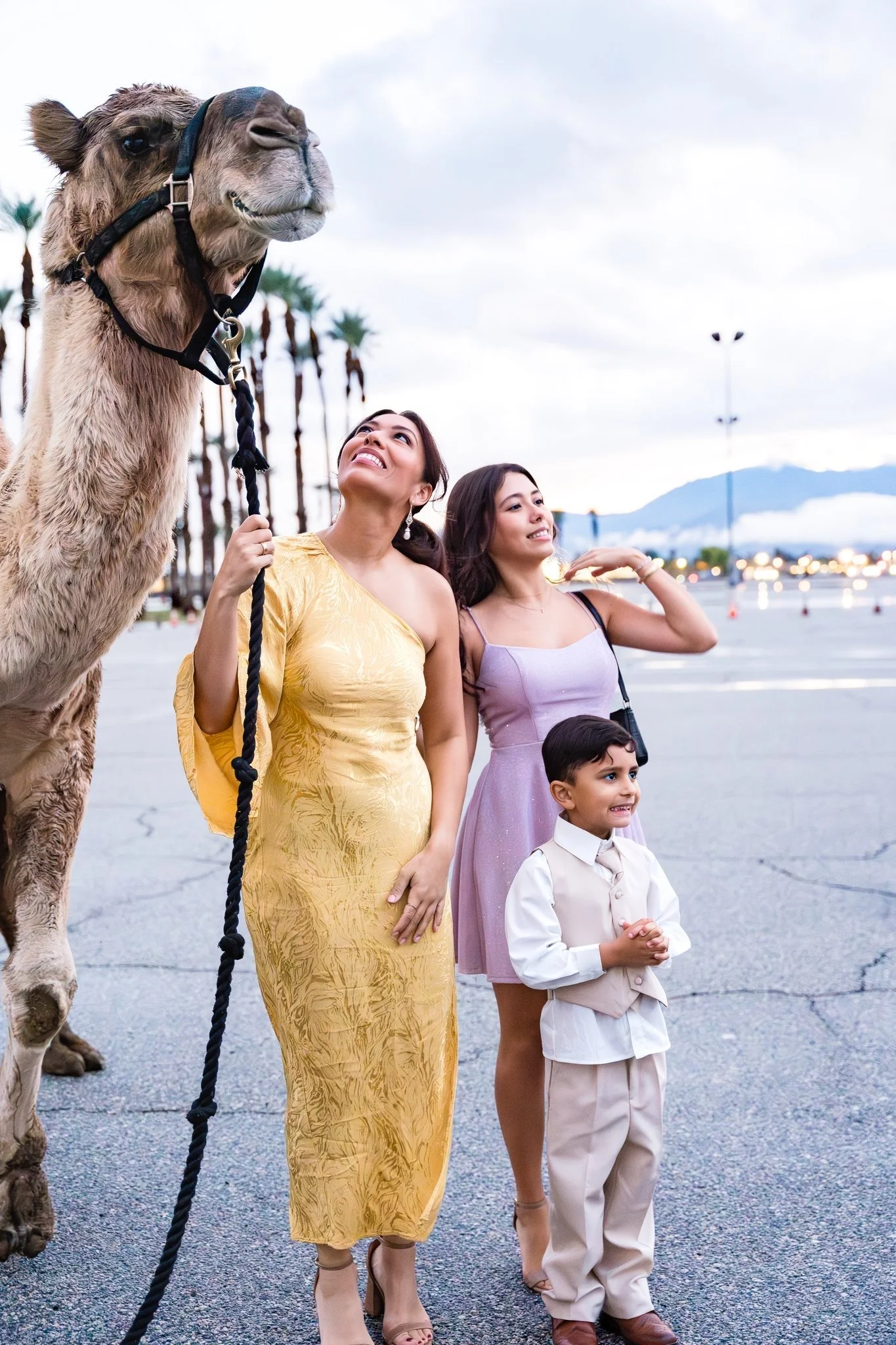 A camel with a halter being held by a woman in a yellow dress and two children, a girl in a pink dress and a boy in a beige vest and pants, standing outdoors on a paved area during the daytime. There are palm trees and mountains in the background.