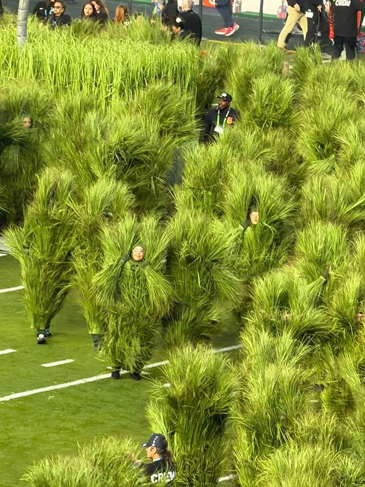 People dressed in outfits made of tall green grass or plants, walking on a field with white lines and benches, with other individuals in the background.