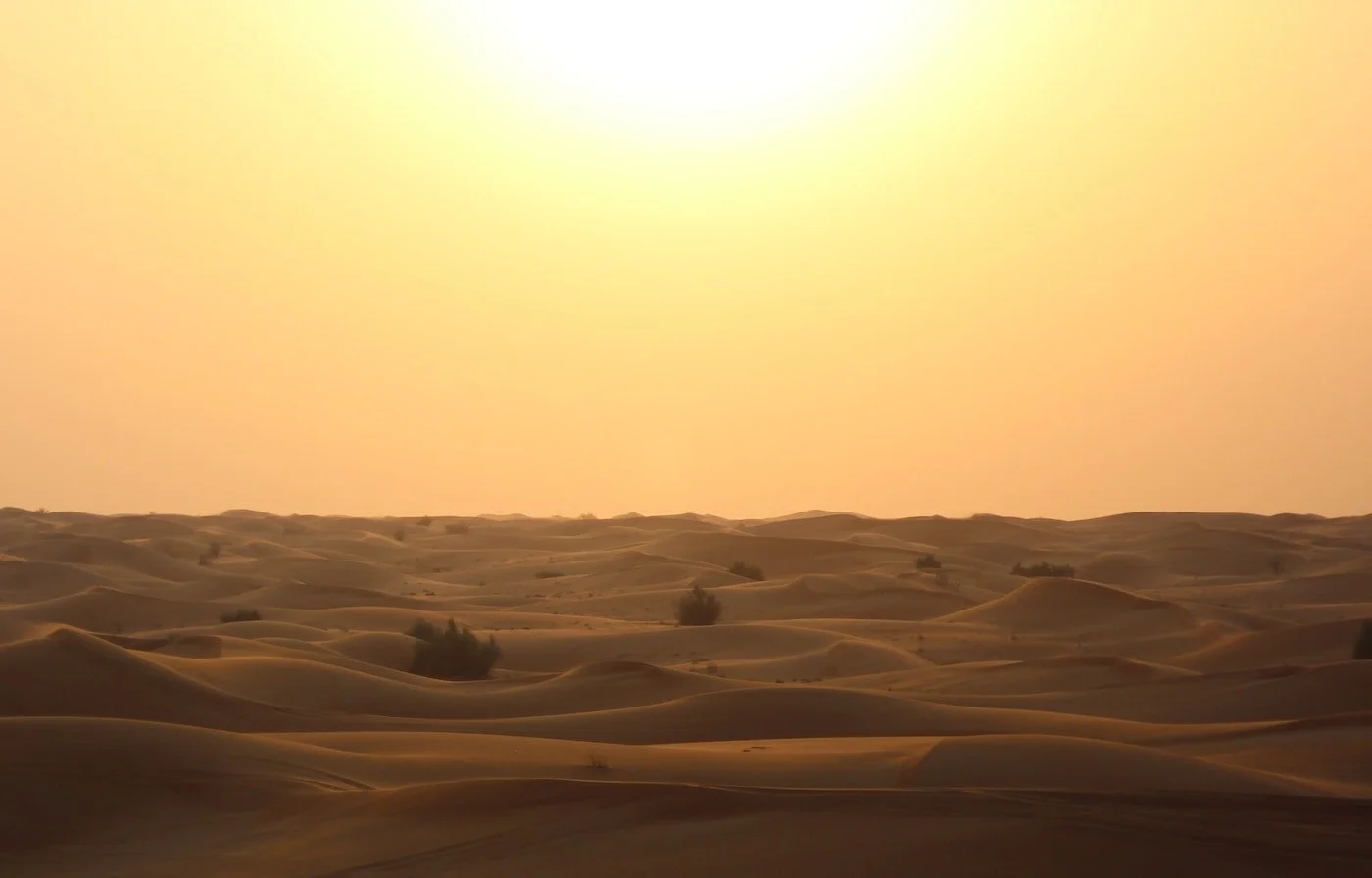 Overheating, Thyroid Disease, and Lupus