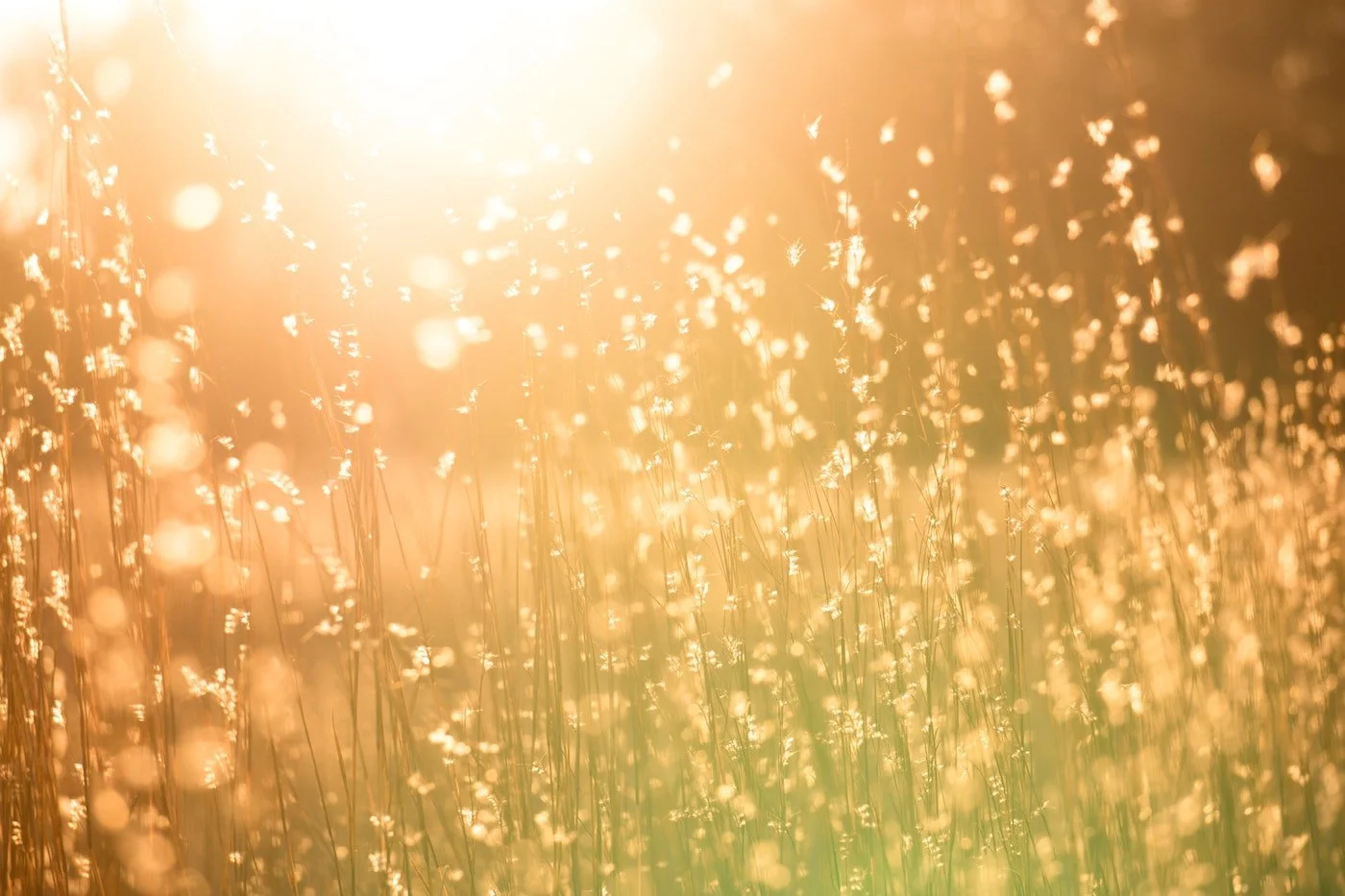 Vitamin D Levels and Lupus