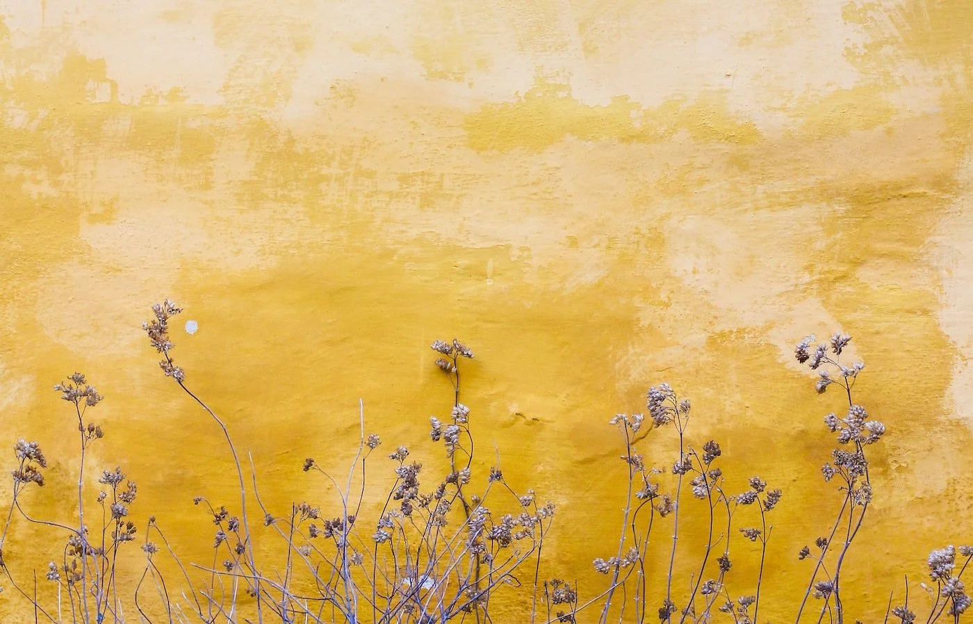 Q&A Forum: Community Lupus Stories