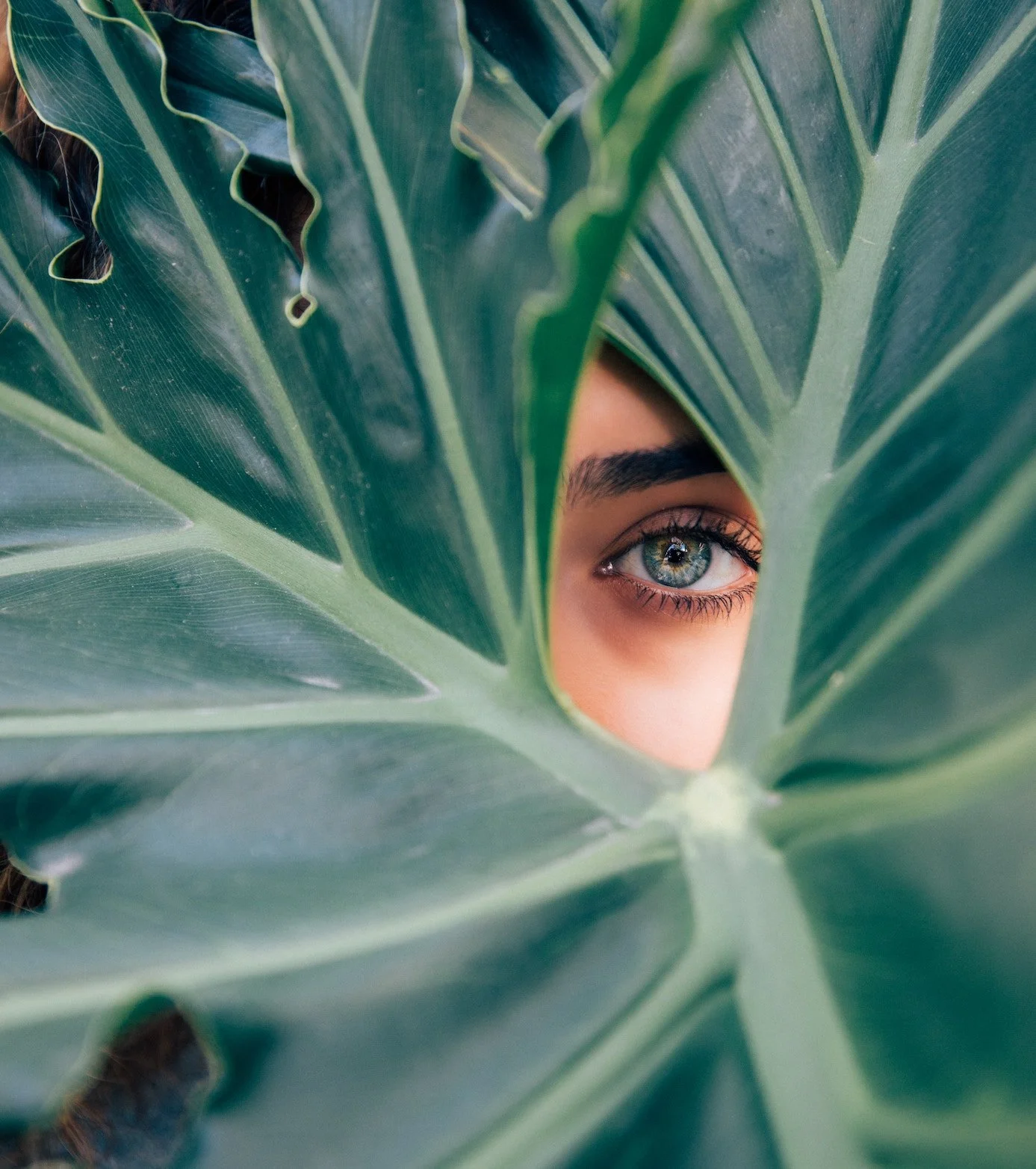 Lupus Retinopathy and Diagnosis