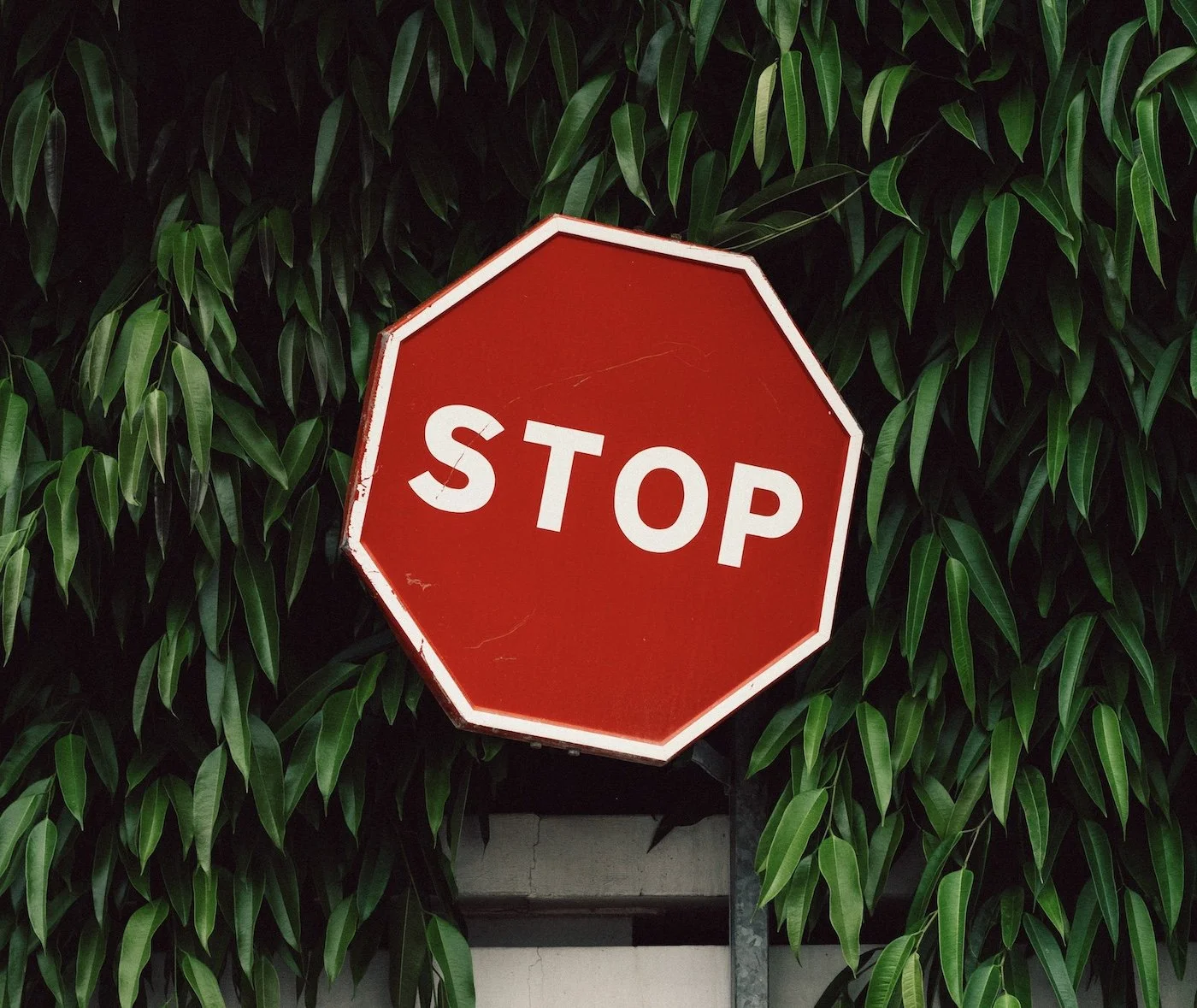 Q&A Forum: What NOT To Say To Lupus Warriors