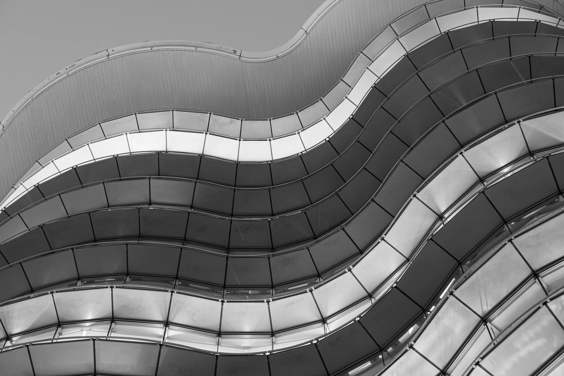 Lupus Nephritis, Dialysis, and Flares