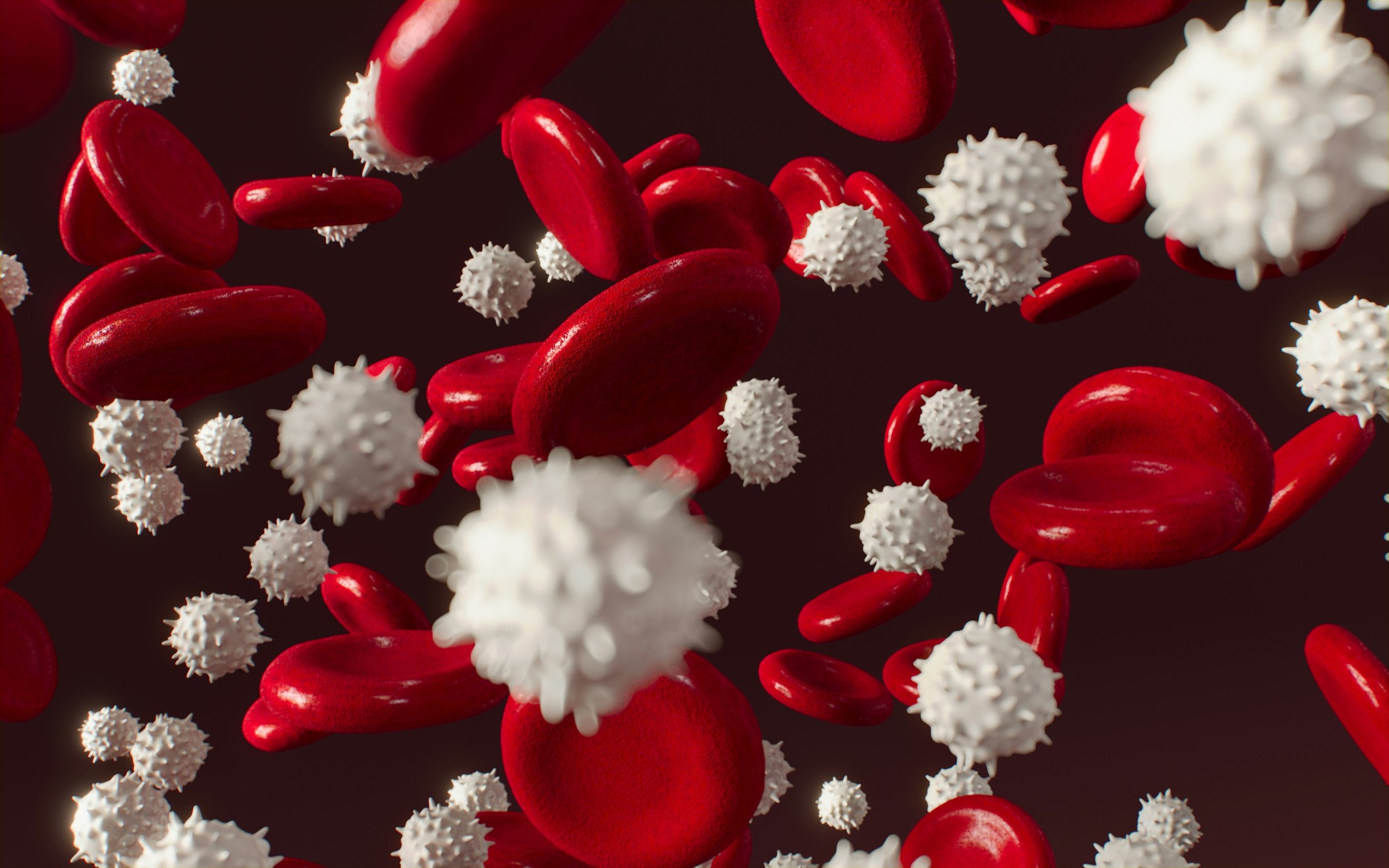 T Cells, the Immune System, and Lupus