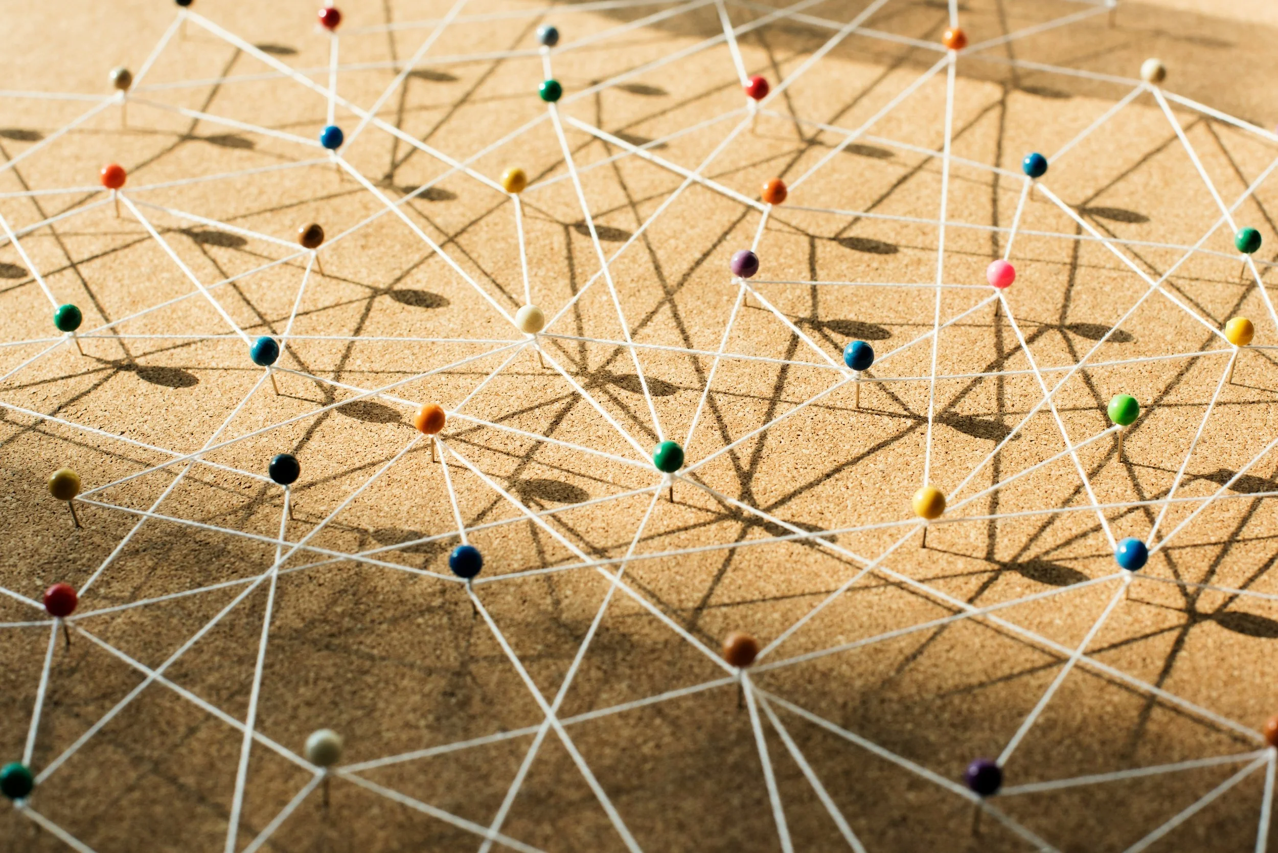 Lupus Diagnosis: Connecting the Dots