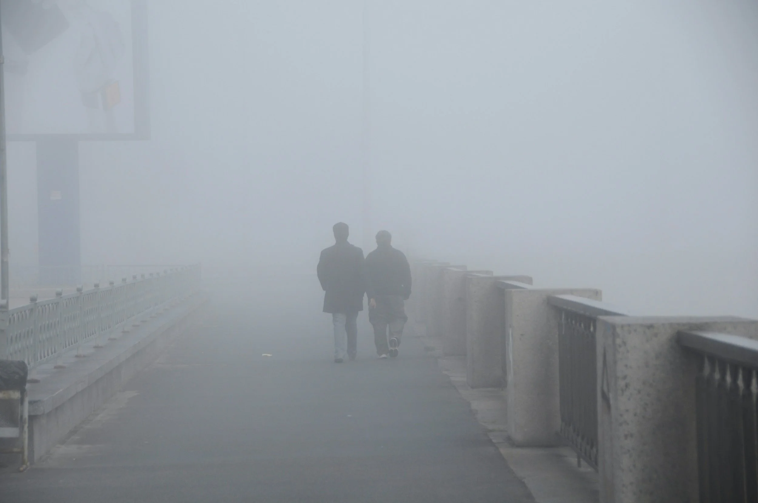 Lupus Brain Fog: What Can You Do?