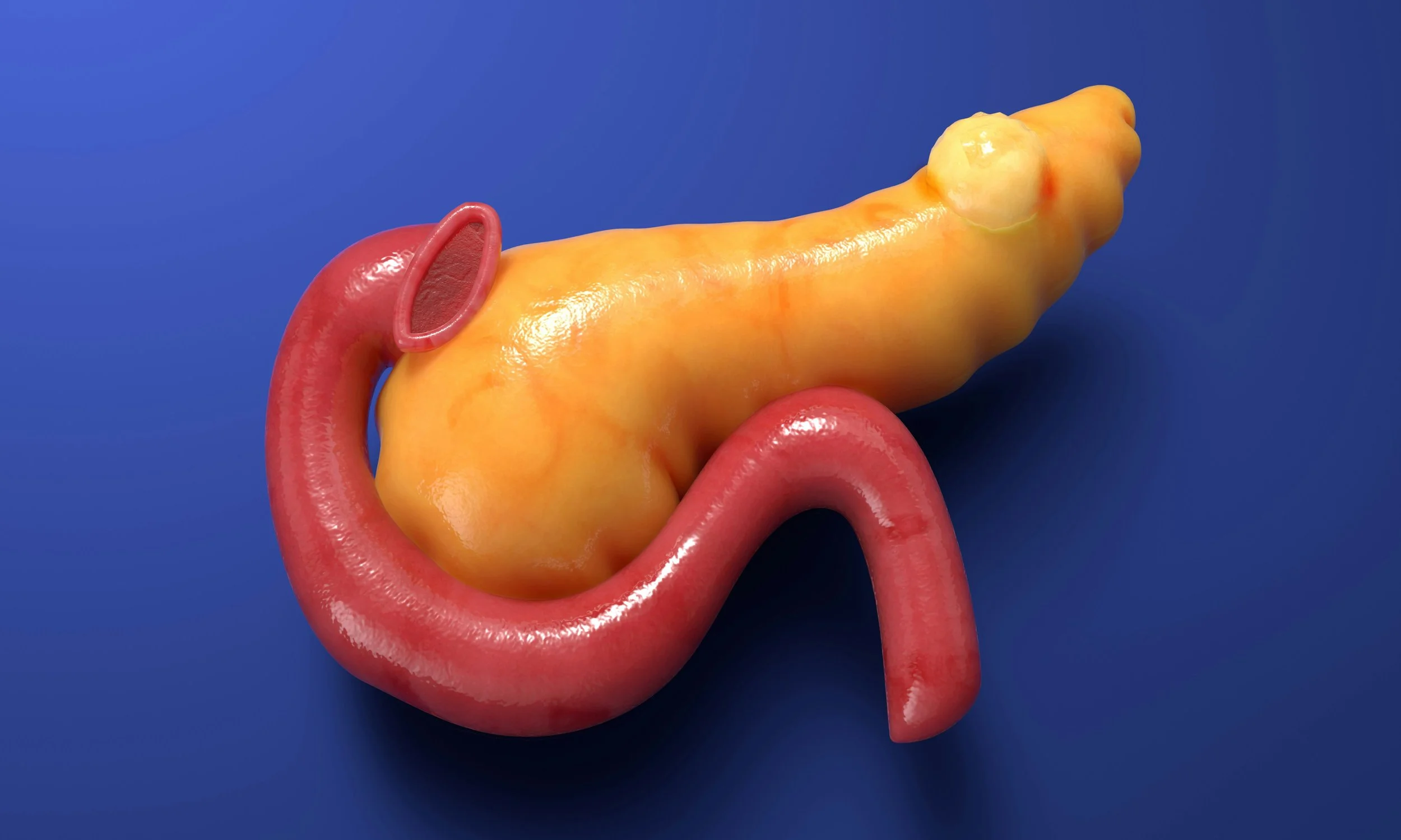 The Pancreas and Lupus