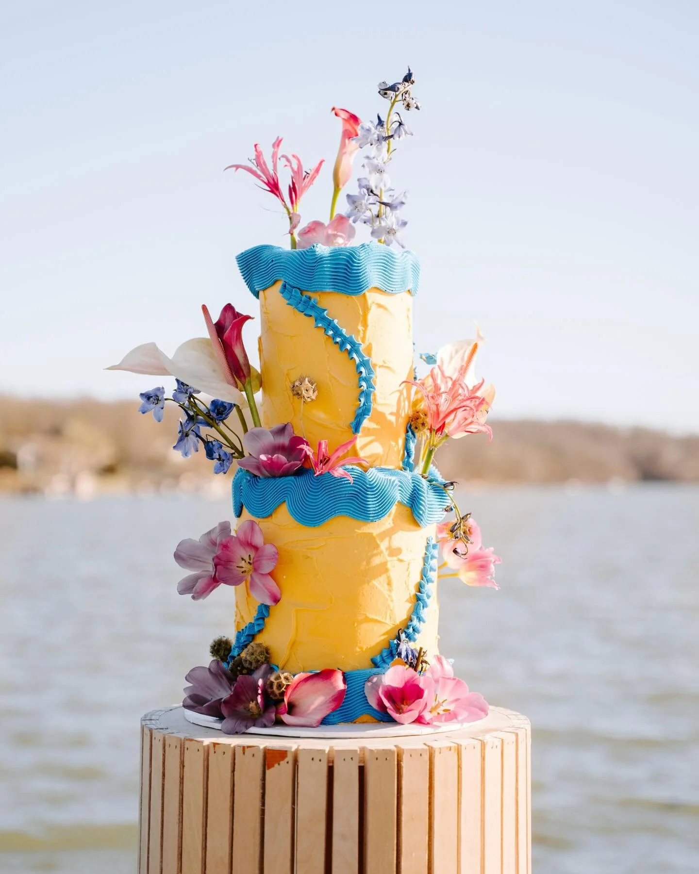 Who says your wedding cake can&rsquo;t have color? 💛💙💖

Models: @shelbyandpayton
Makeup: @becky.yoon.mua
Florals: @whimsy_willow_florals
Cake: @eatsbyannie_
Rentals: @alchemy_event_rentals
Dress: @aw.bridal
Photography: @jazminandradephoto

#weddi