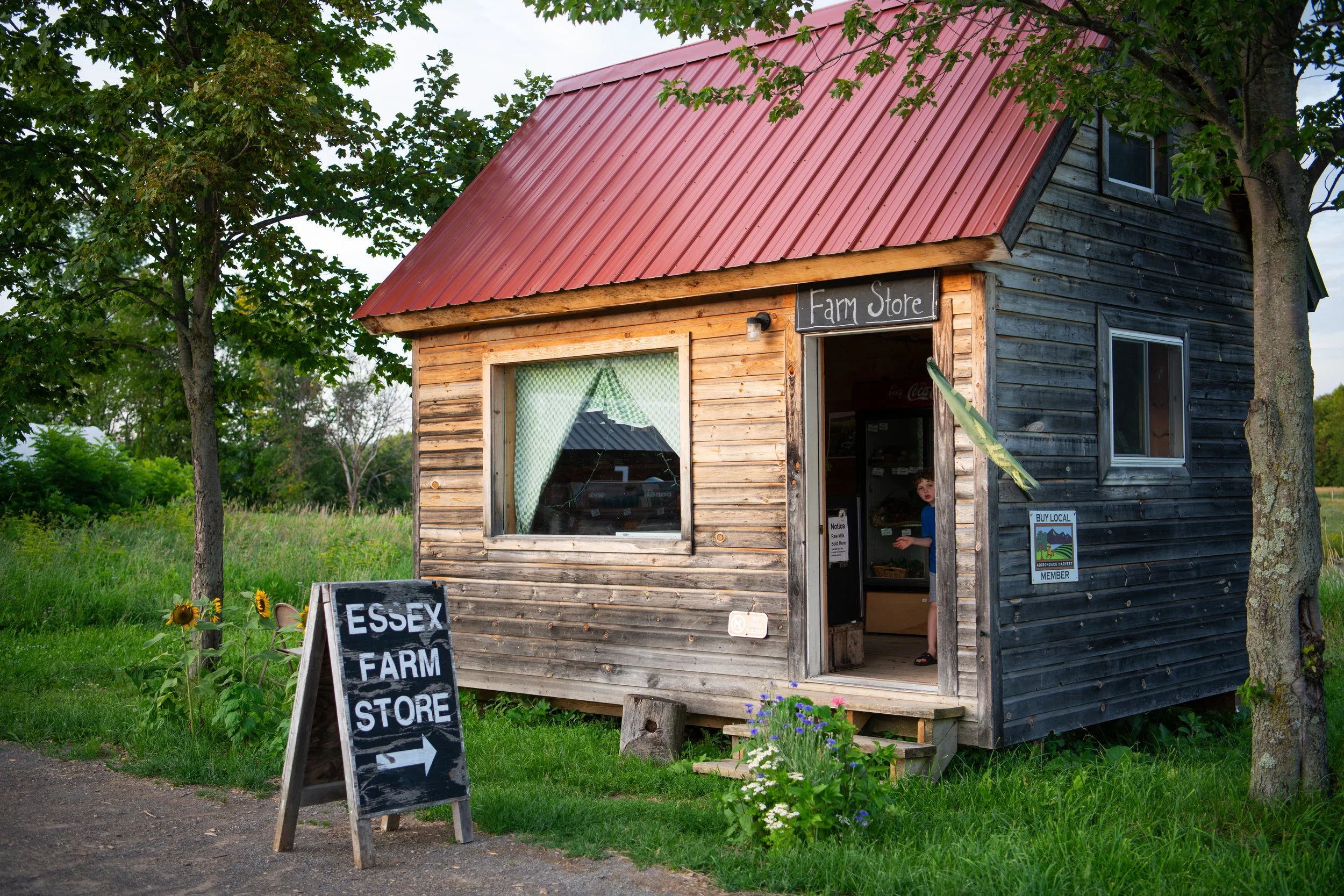 A small wooden farm store with a red metal roof, located in a rural area with green trees and grass. The store has a sign that reads 'Farm Store' above the entrance, and a chalkboard sign outside advertising 'Essex Farm.' A person is visible inside, 