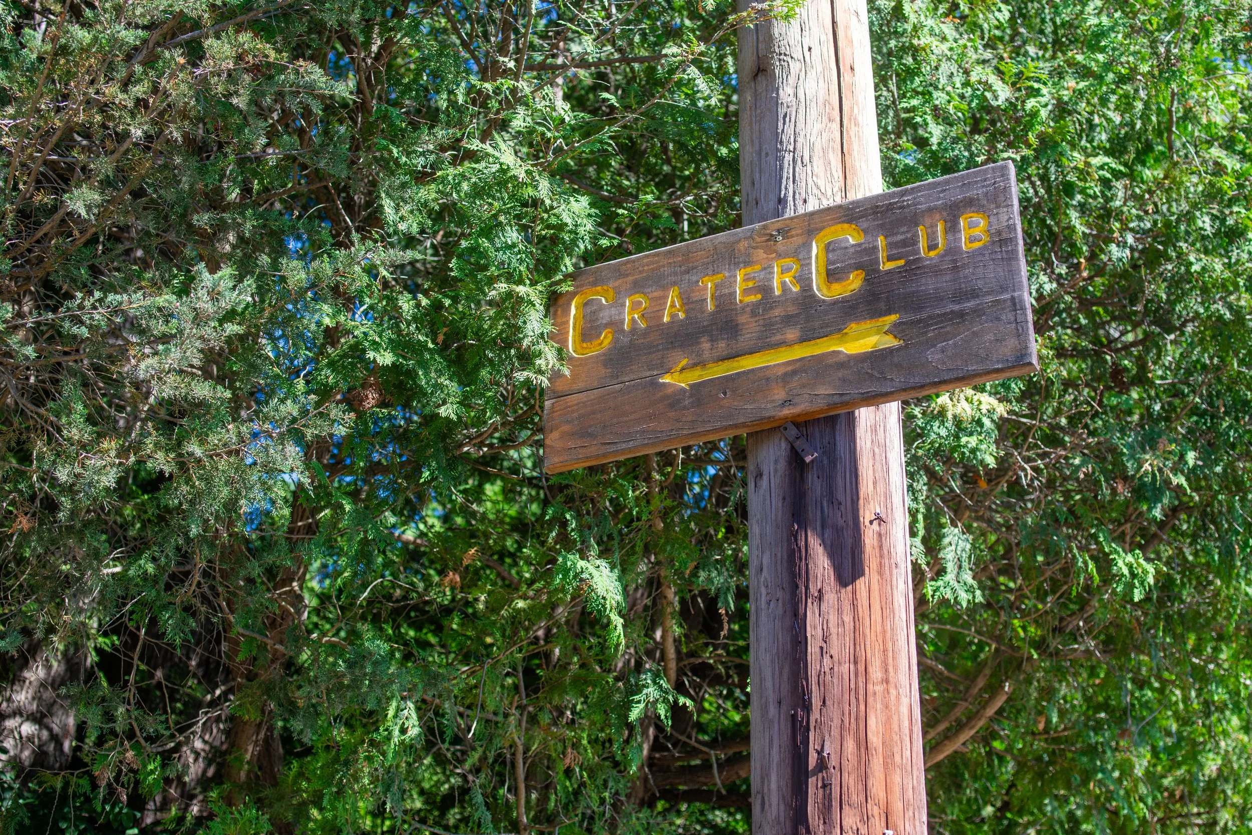 Wooden sign with yellow lettering reading 'Crater C' attached to a weathered wooden pole amidst green foliage.