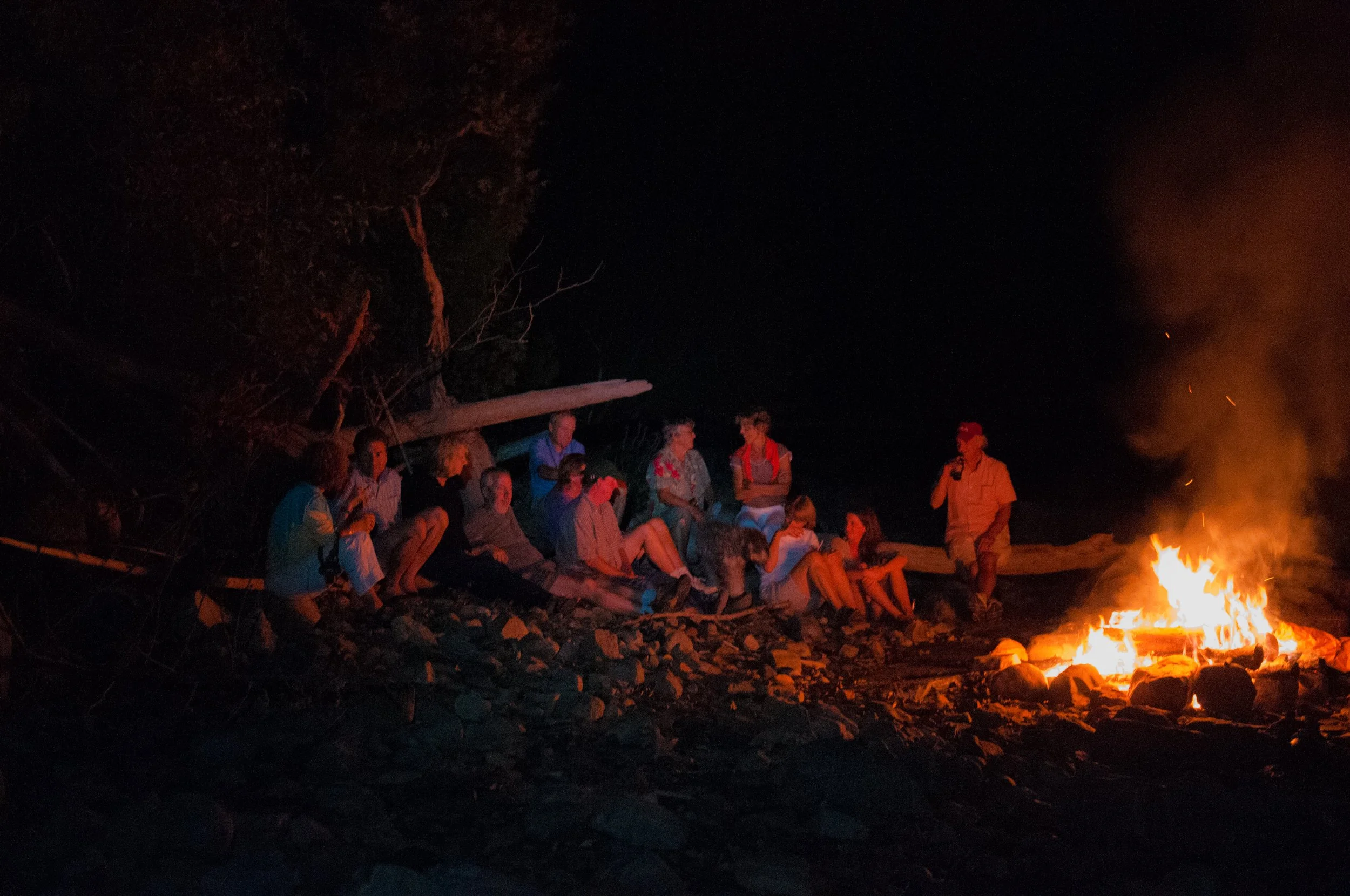 Group of people sitting and standing near a campfire at night, some with drinks, in an outdoor wooded area.