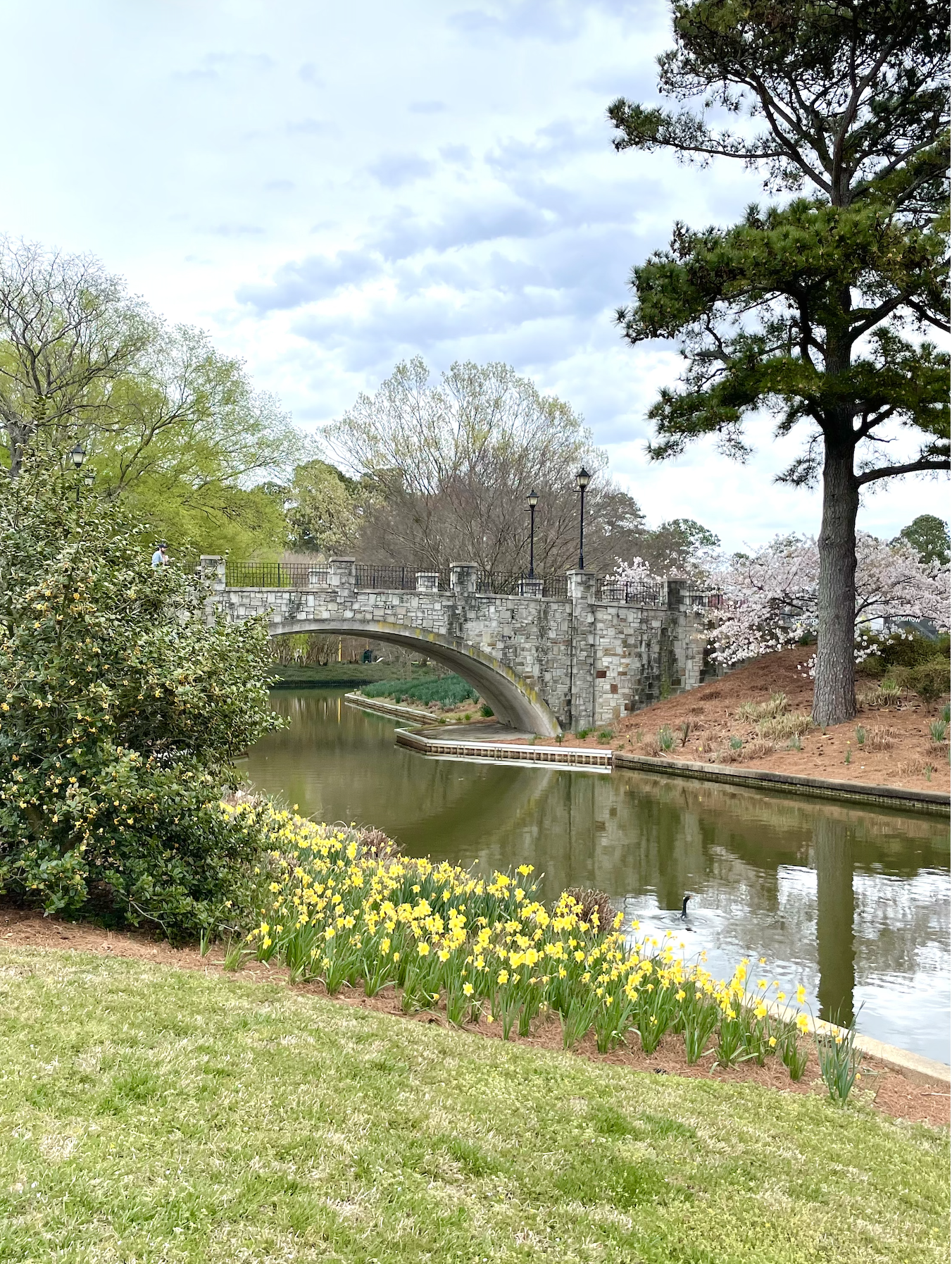 A Garden Passport Worth Knowing About