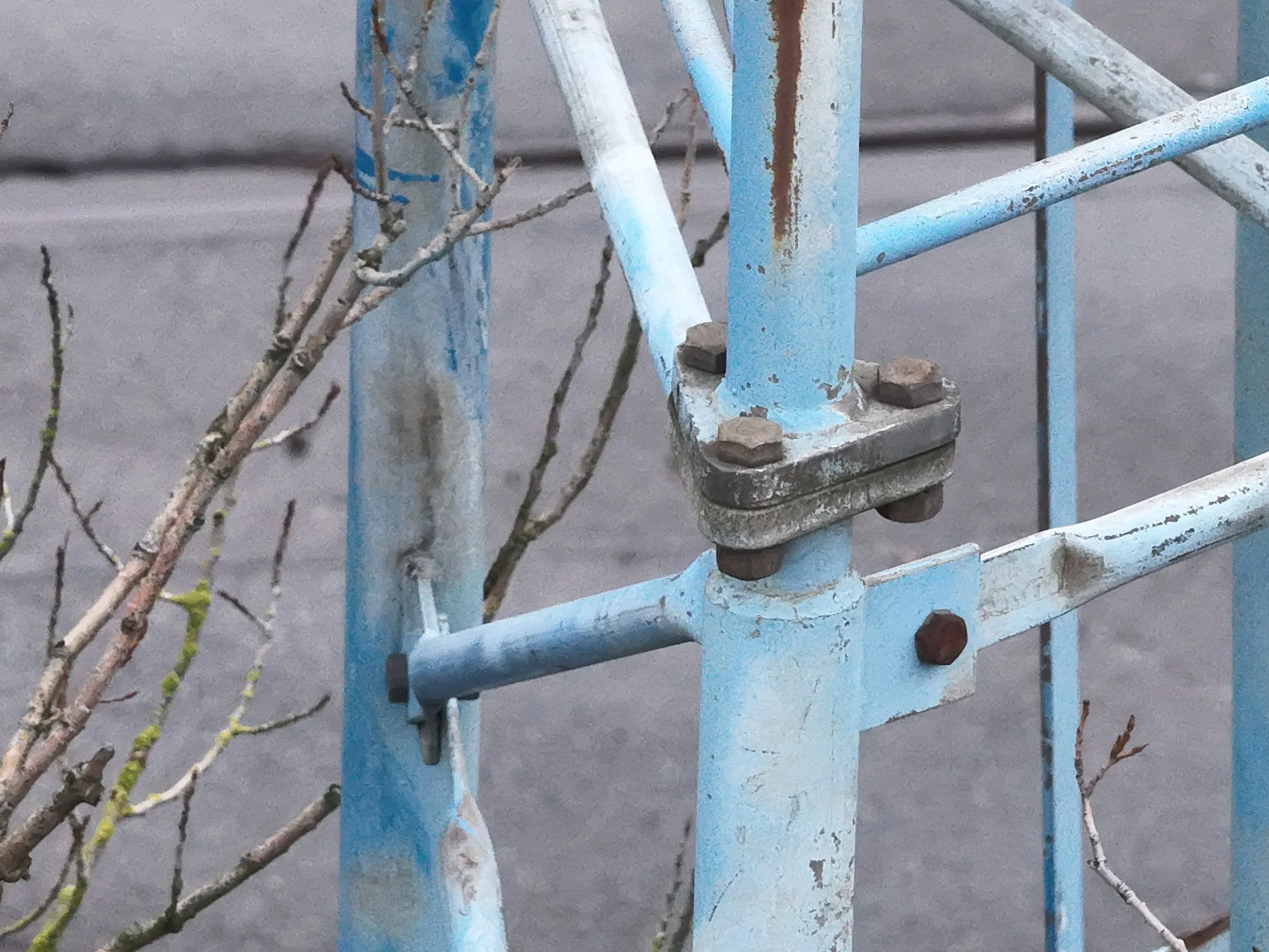 Close-up of a rusty, blue metal scaffolding with some small brown twigs and leaves entwined around it.