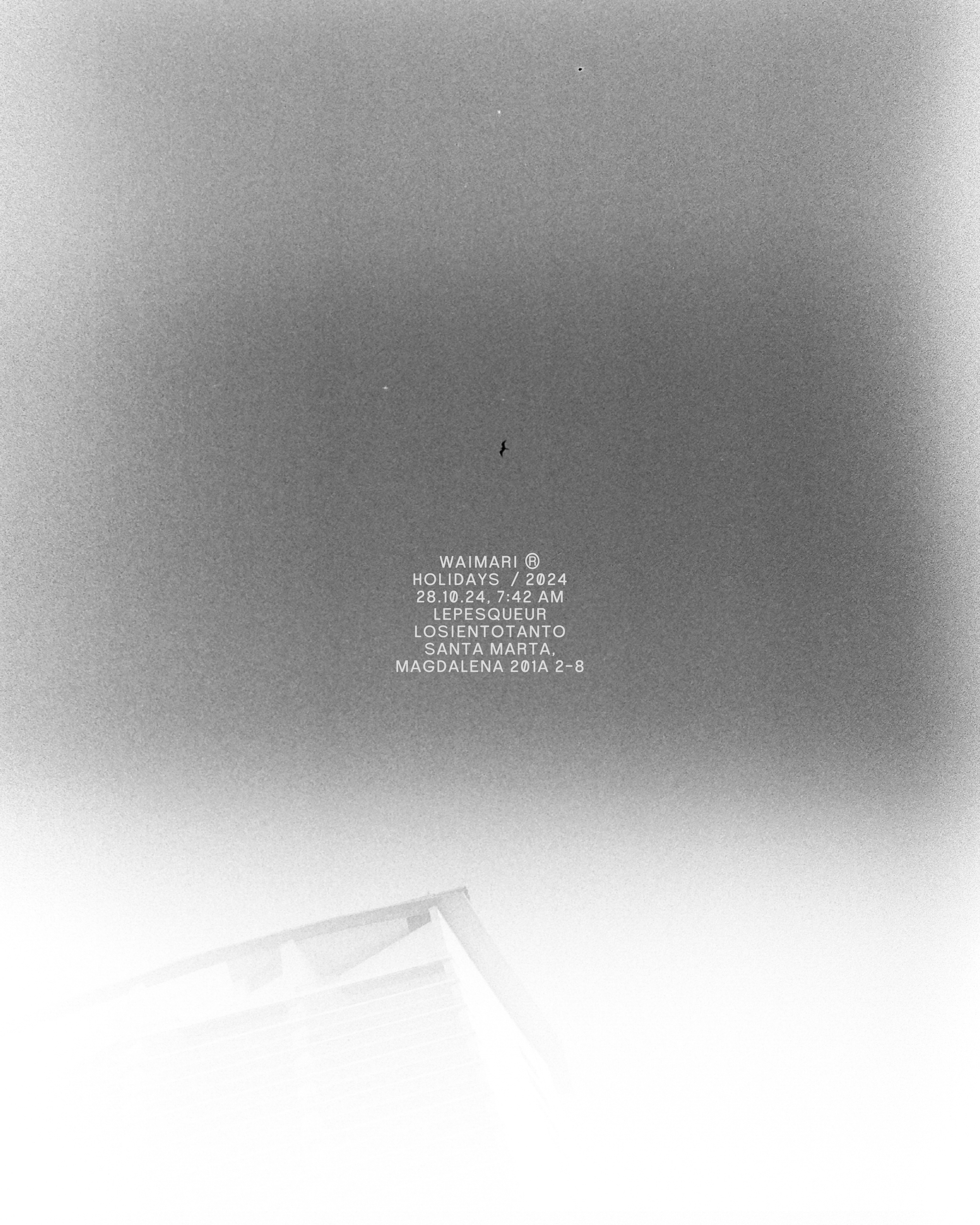 WAIMARI-08.png