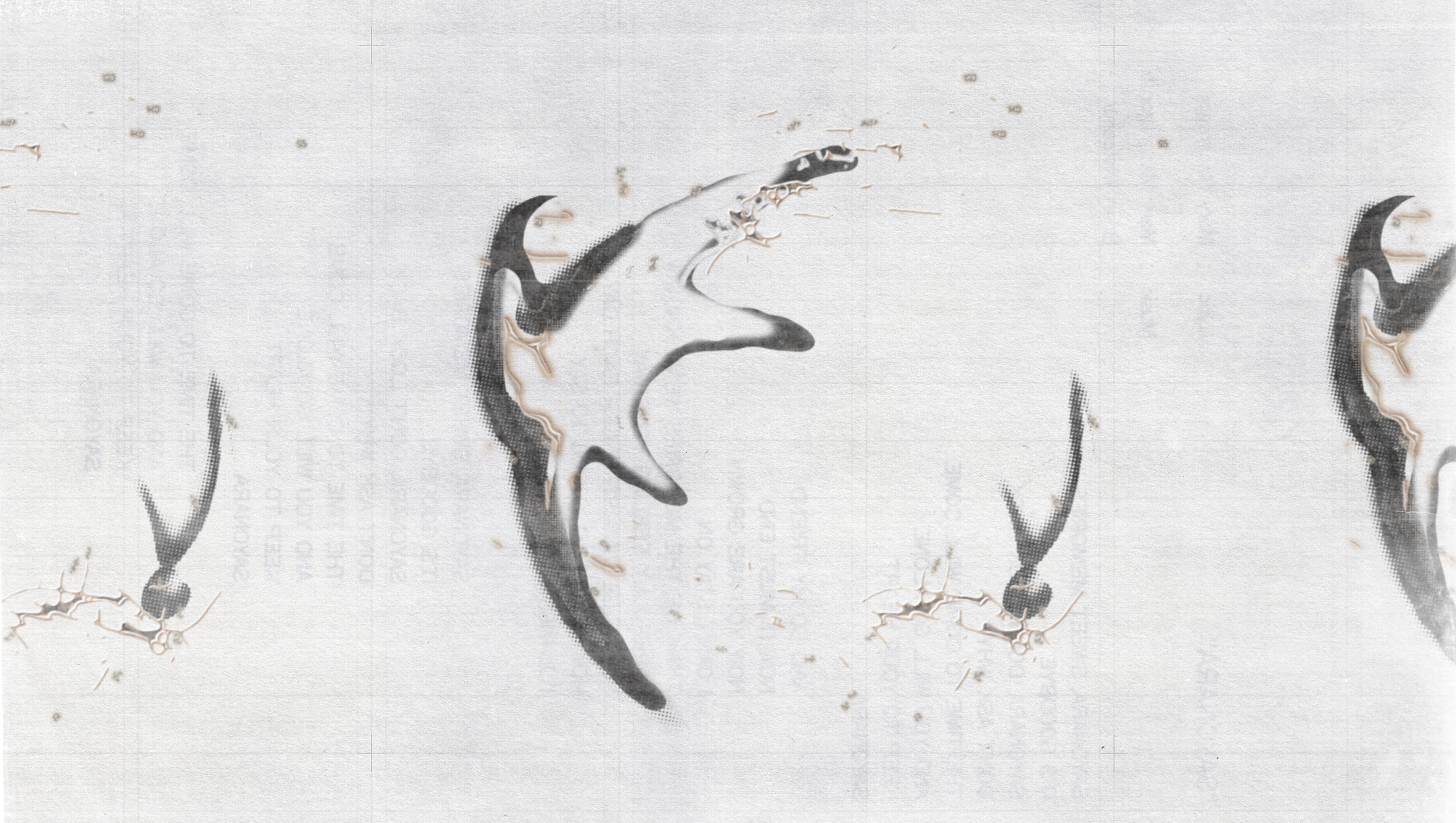 Mesa de trabajo 9.png