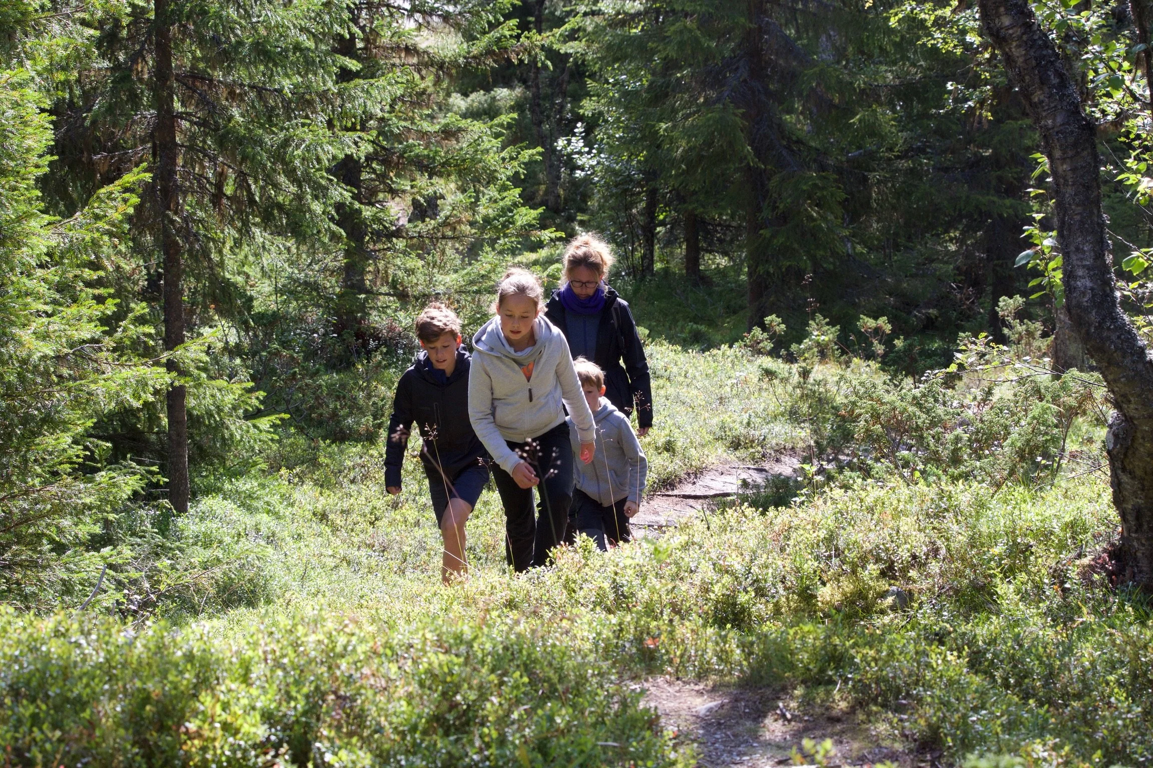 Bergwandeling Coppens reizen