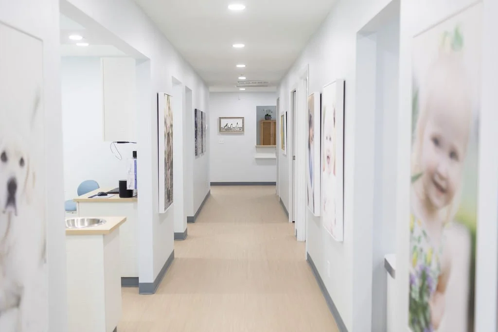 Domian Family Dentistry