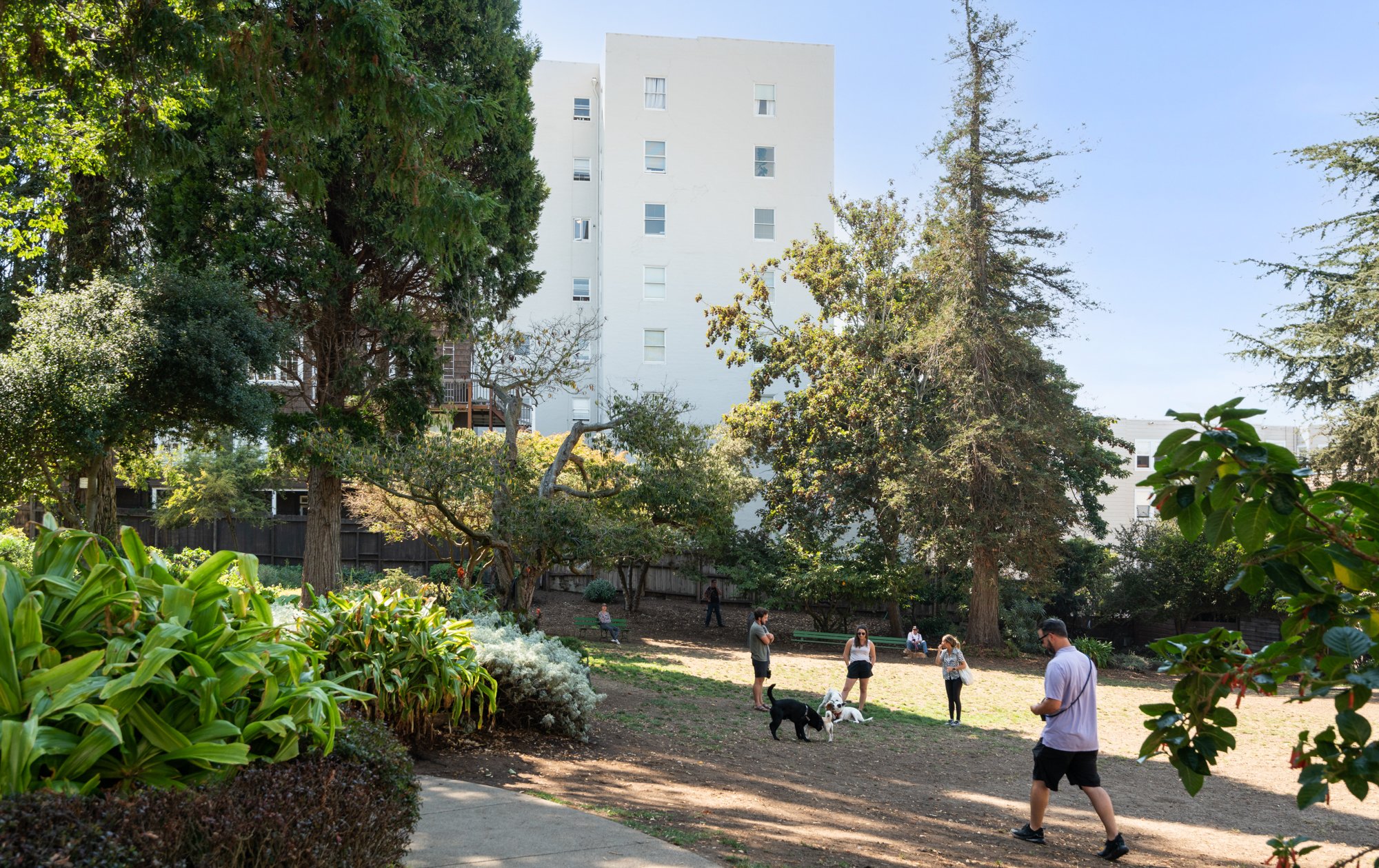 People walking and socializing with dogs in a park surrounded by trees and greenery, with residential buildings in the background.