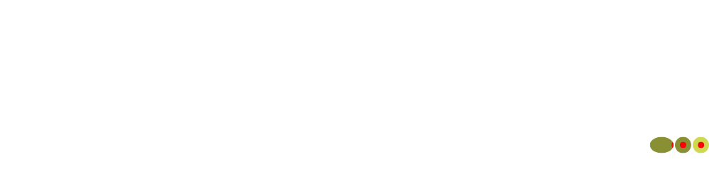 Aceituna Studio