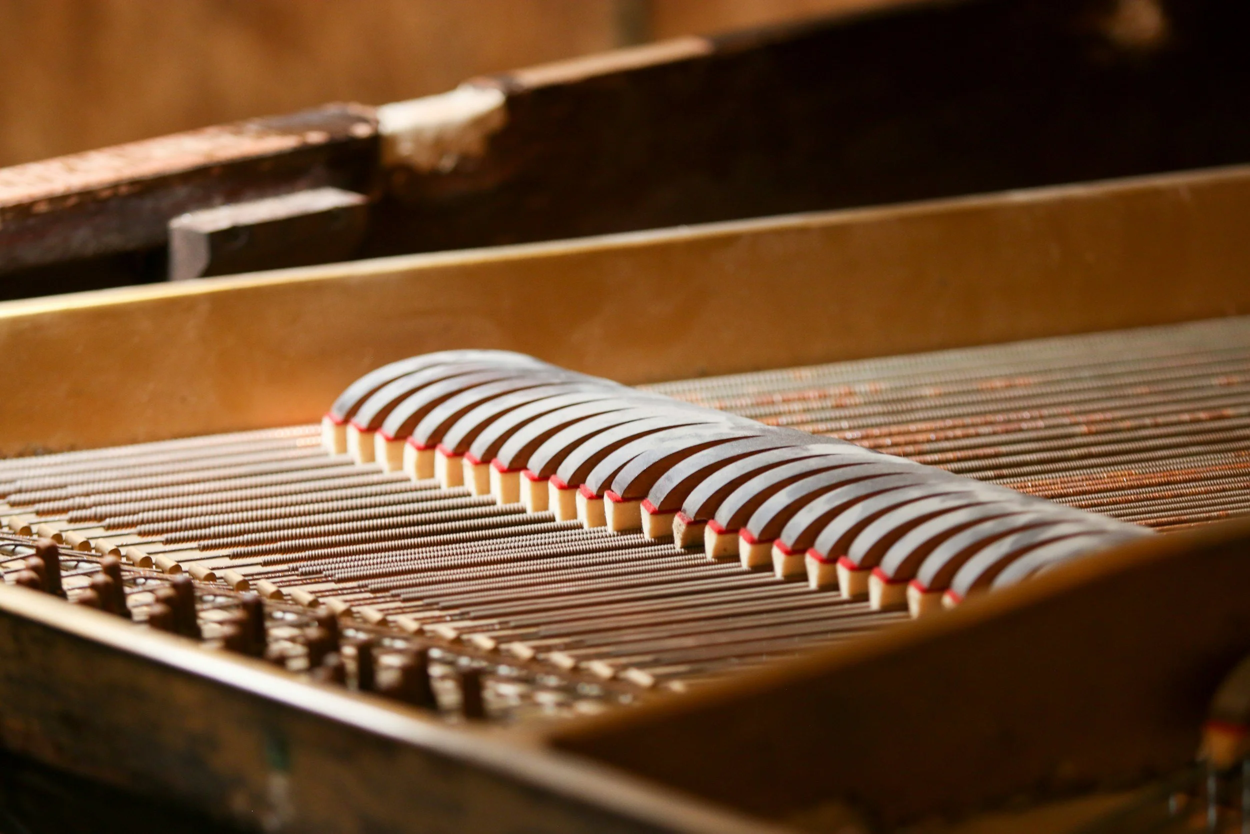 Close-up of the inside of a piano showing strings and hammers.