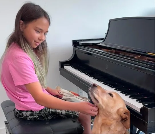 A young girl in a pink shirt sitting at a black piano, gently petting a dog sitting nearby.