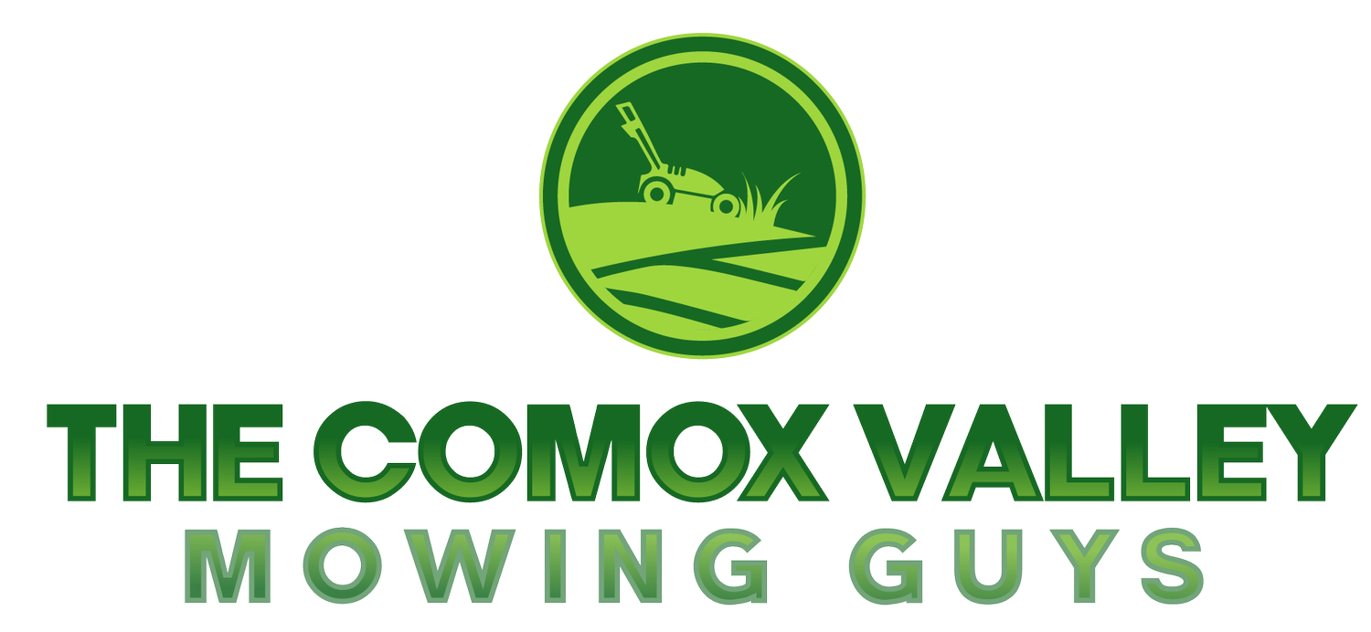 Comox Mowing