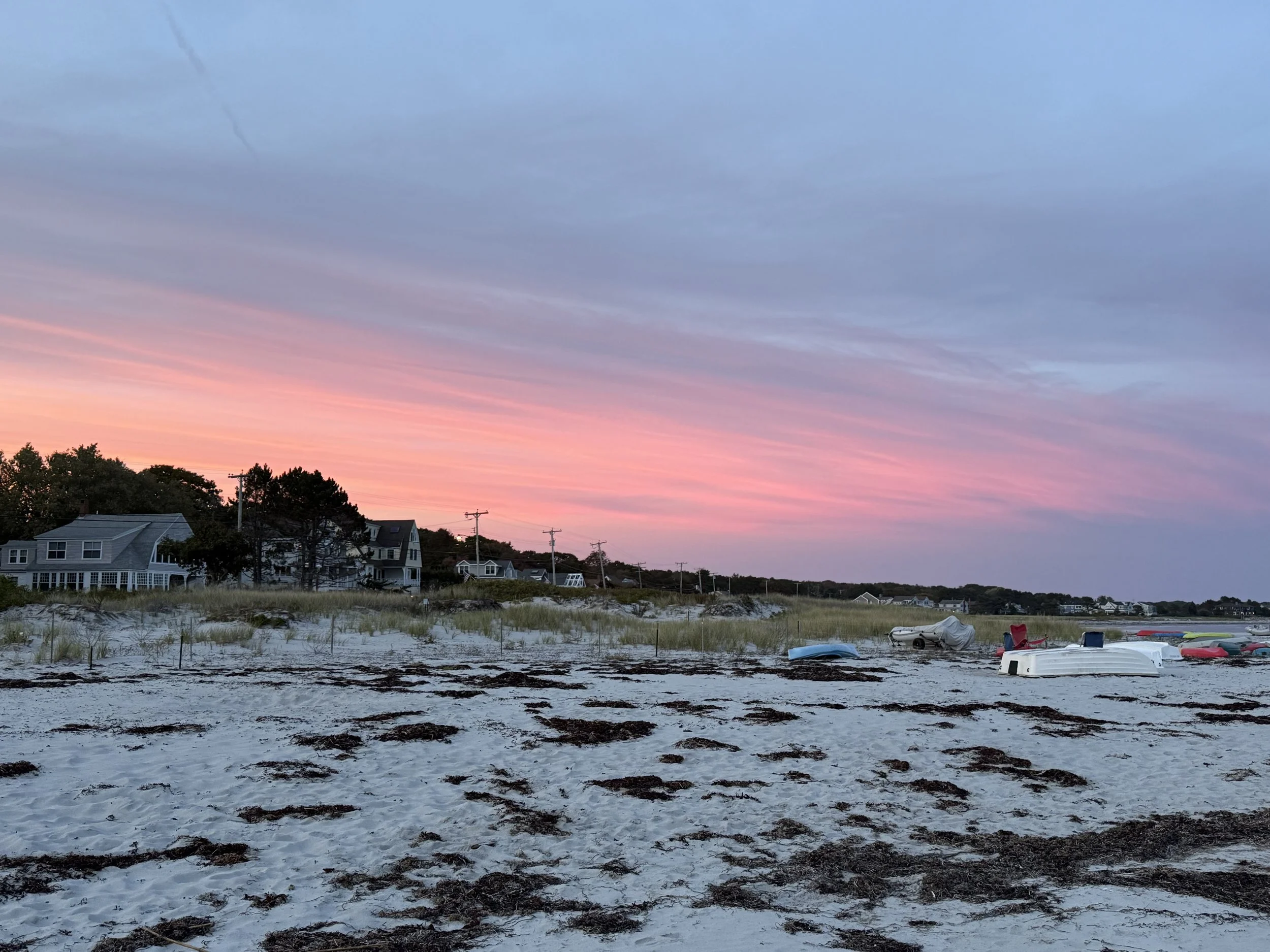 IMG_0790.jpeg