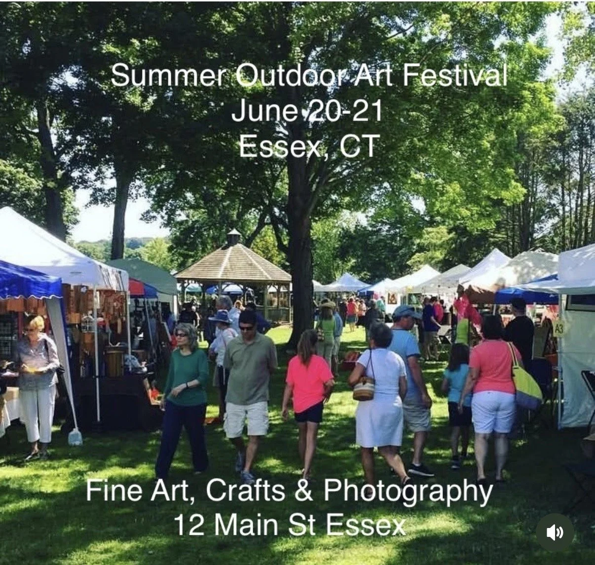 Essex Summer Arts Festival 