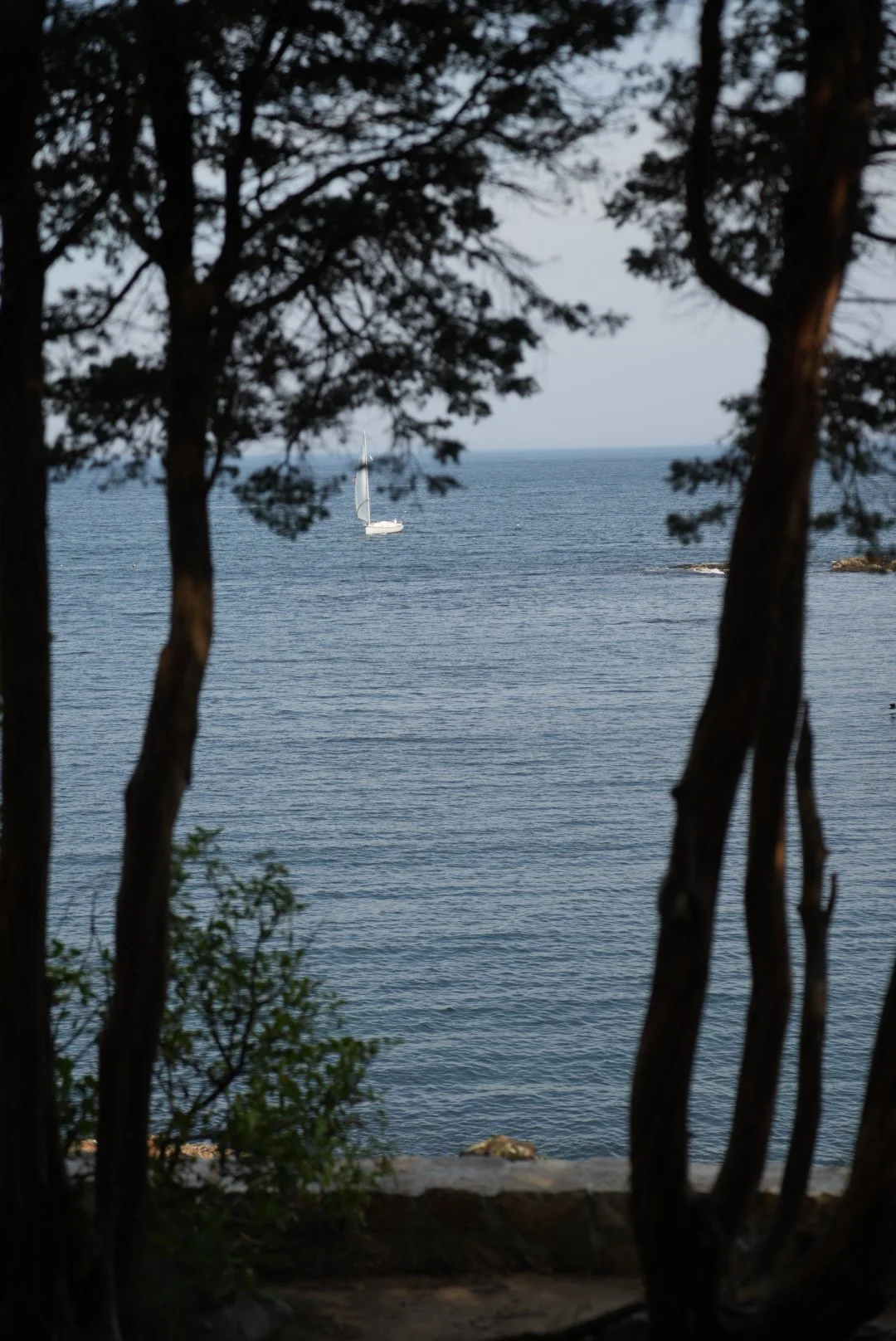 DSC00877.jpeg