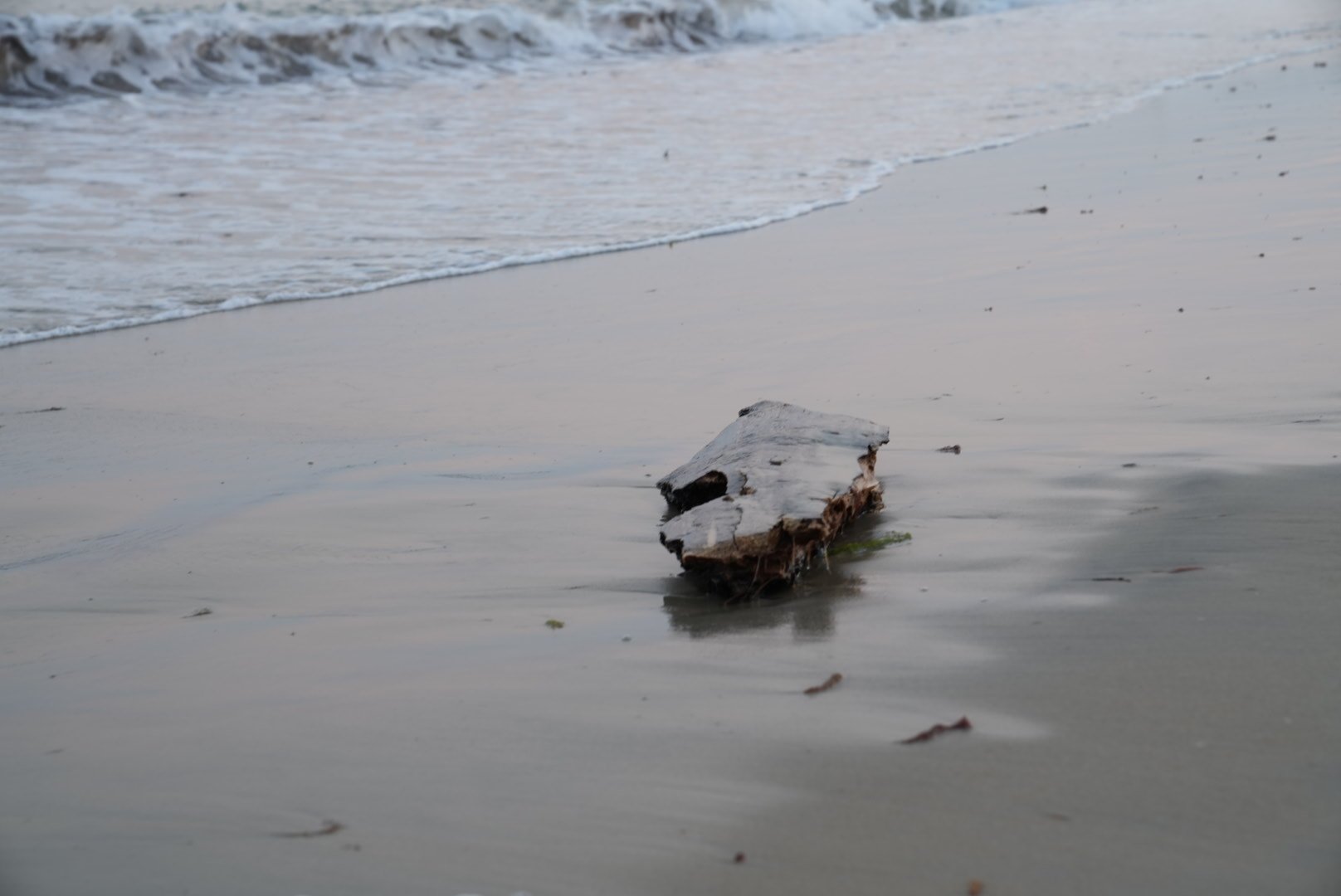 DSC00292.jpeg