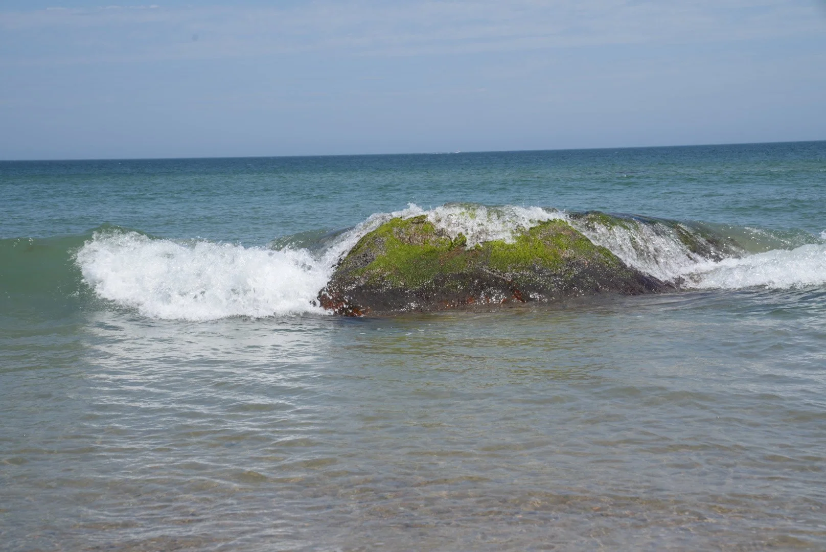 DSC00384.jpeg