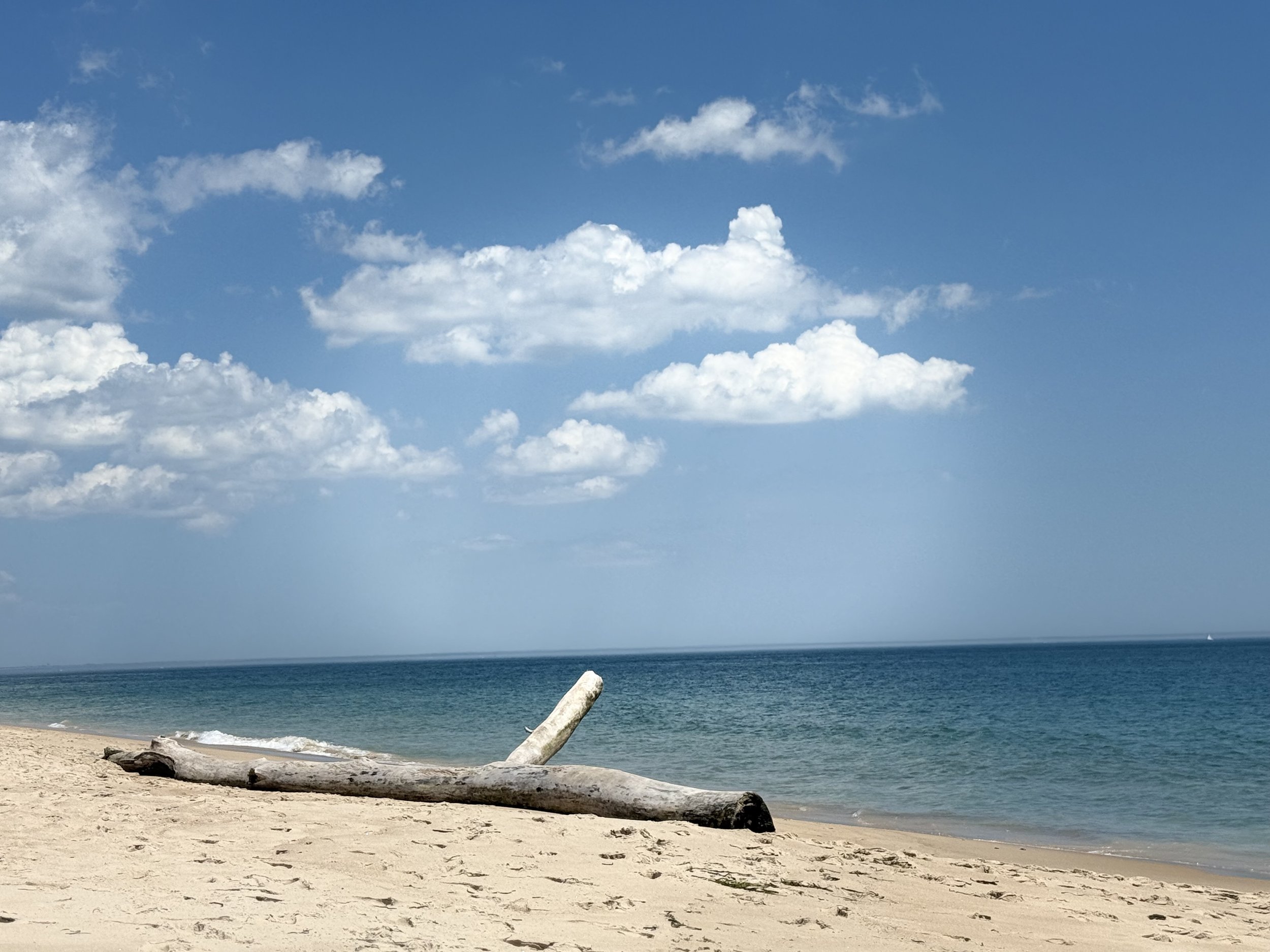IMG_0068.jpeg